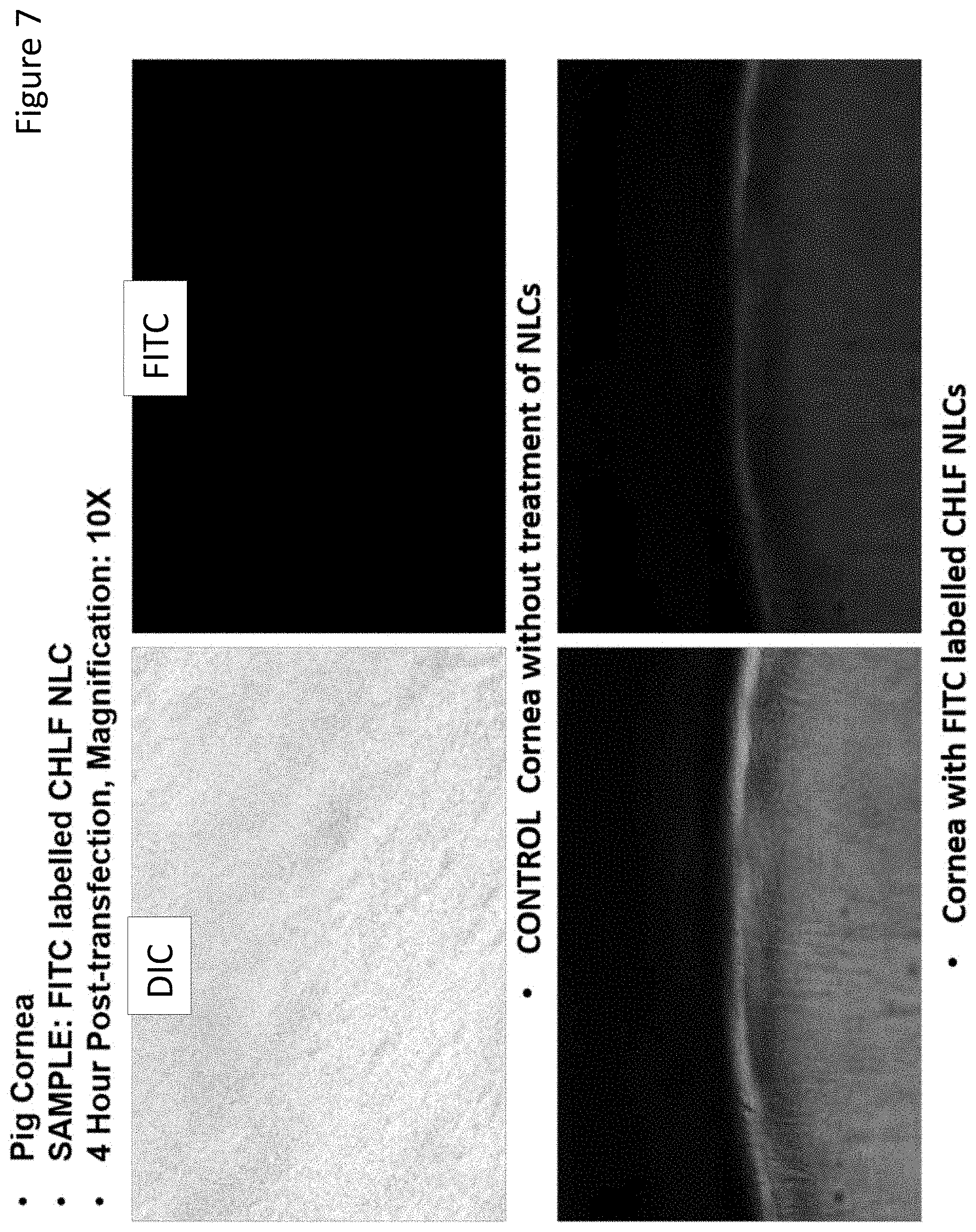 Patent US11779543 Figure 7 – Ocular drug delivery