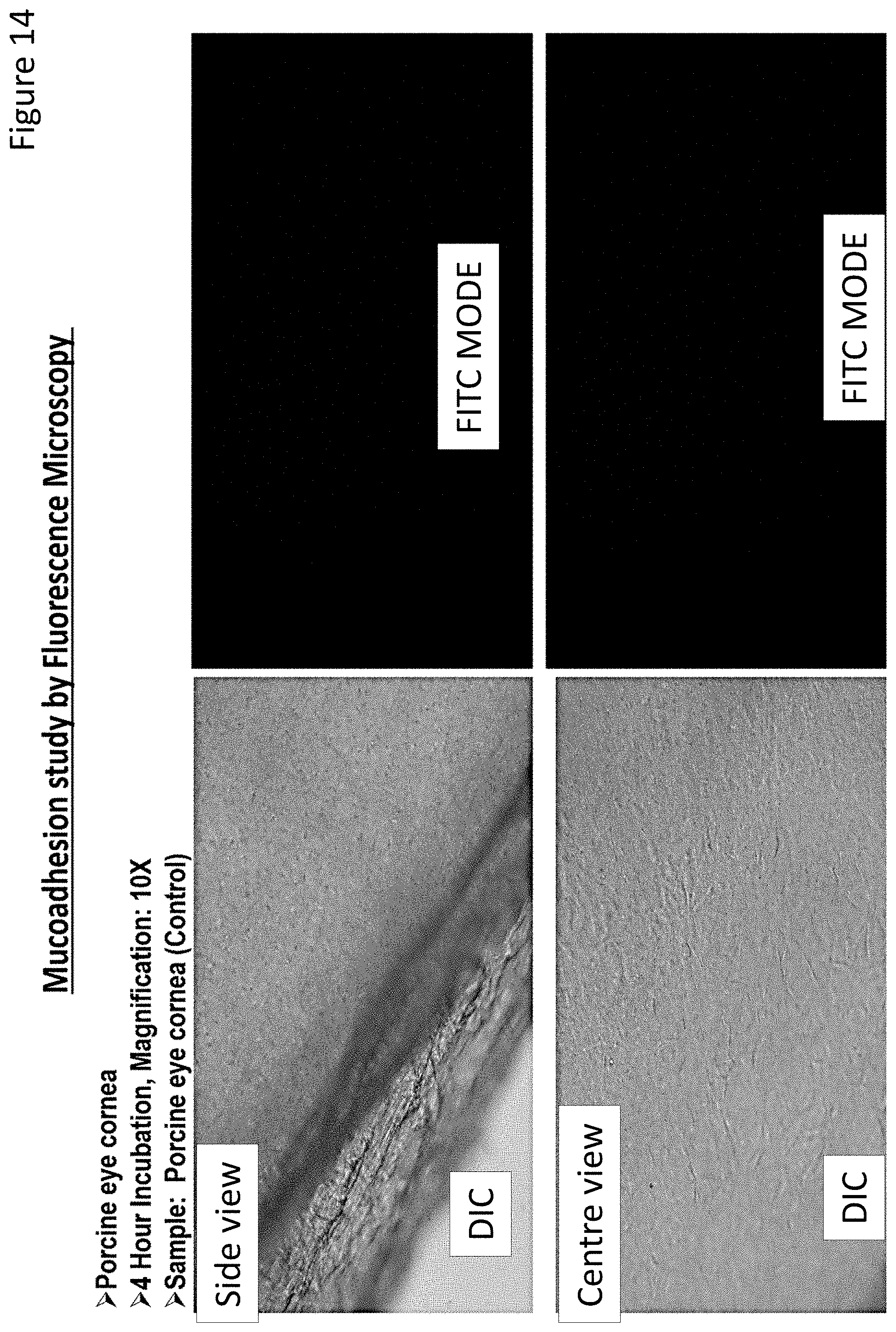 Patent US11779543 Figure 13 – Ocular drug delivery