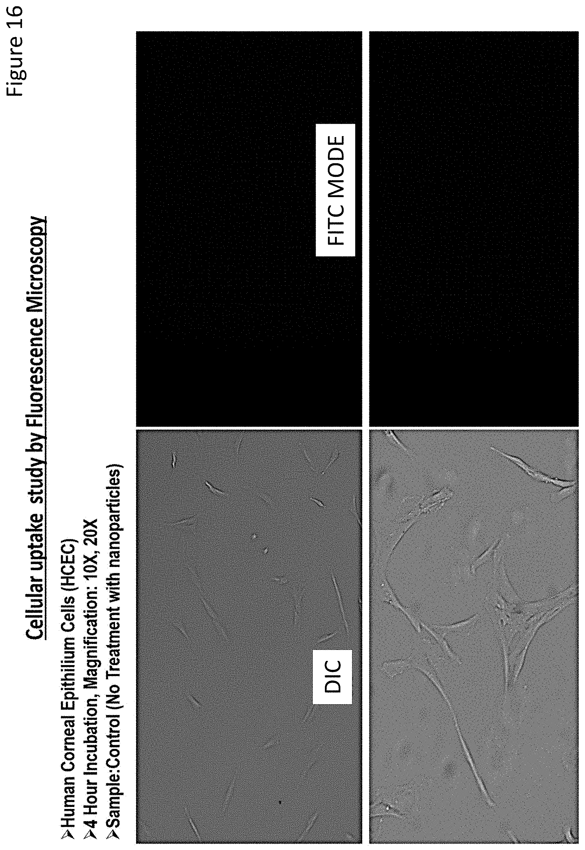 Patent US11779543 Figure 15 – Ocular drug delivery