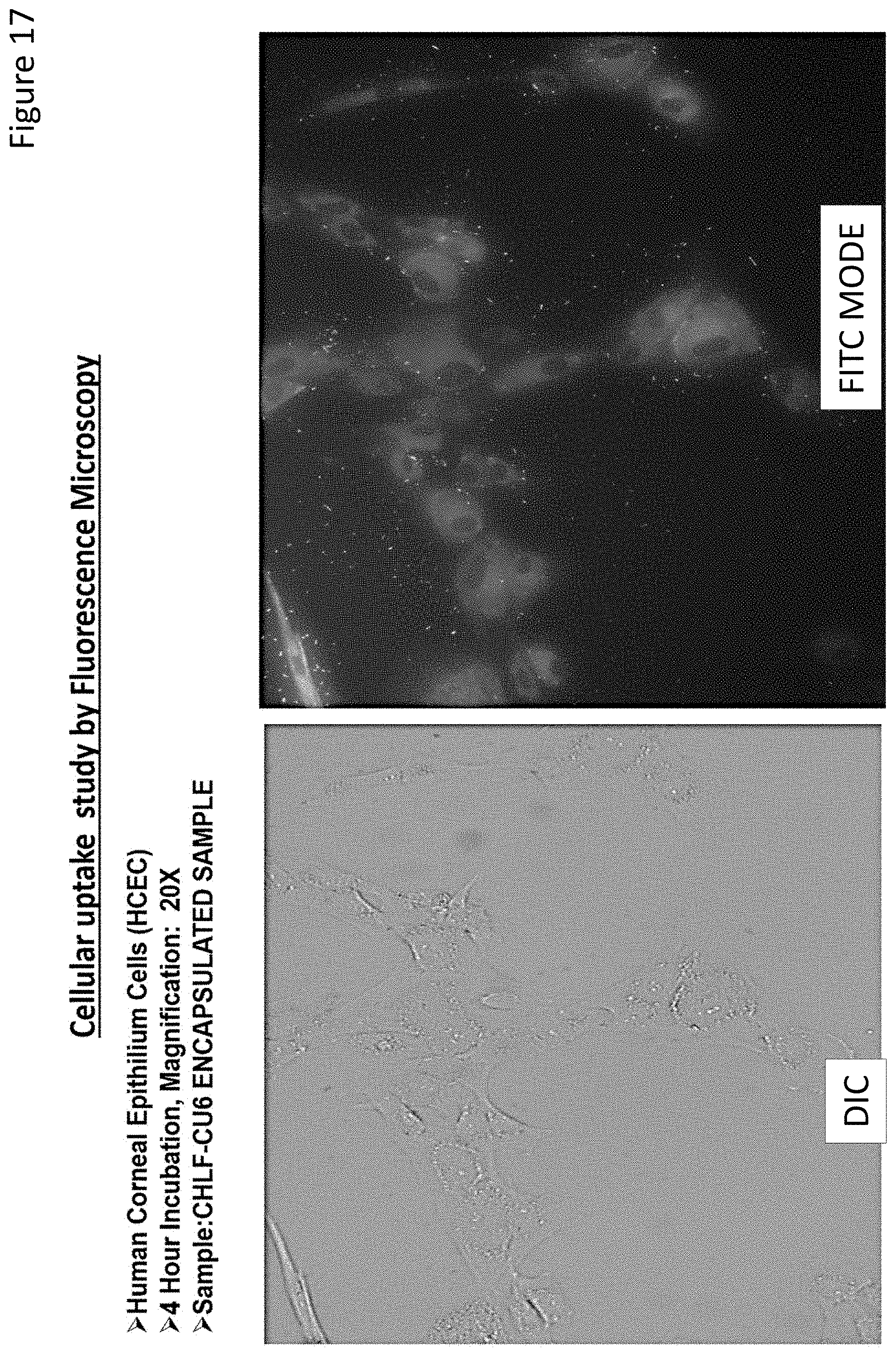 Patent US11779543 Figure 16 – Ocular drug delivery