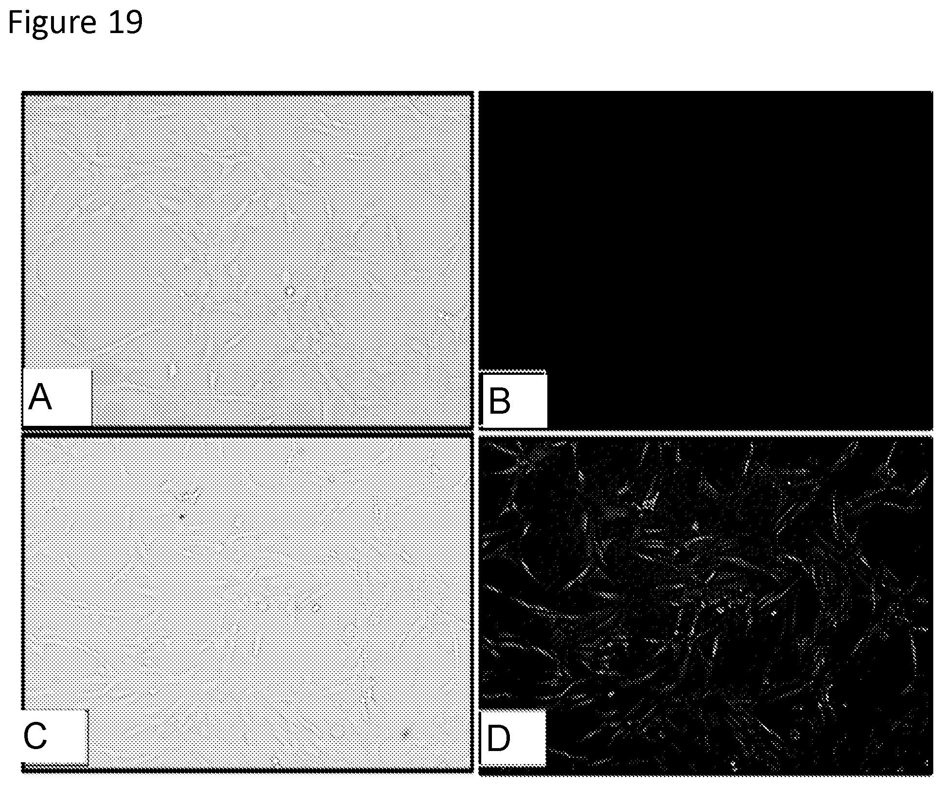 Patent US11779543 Figure 18 – Ocular drug delivery