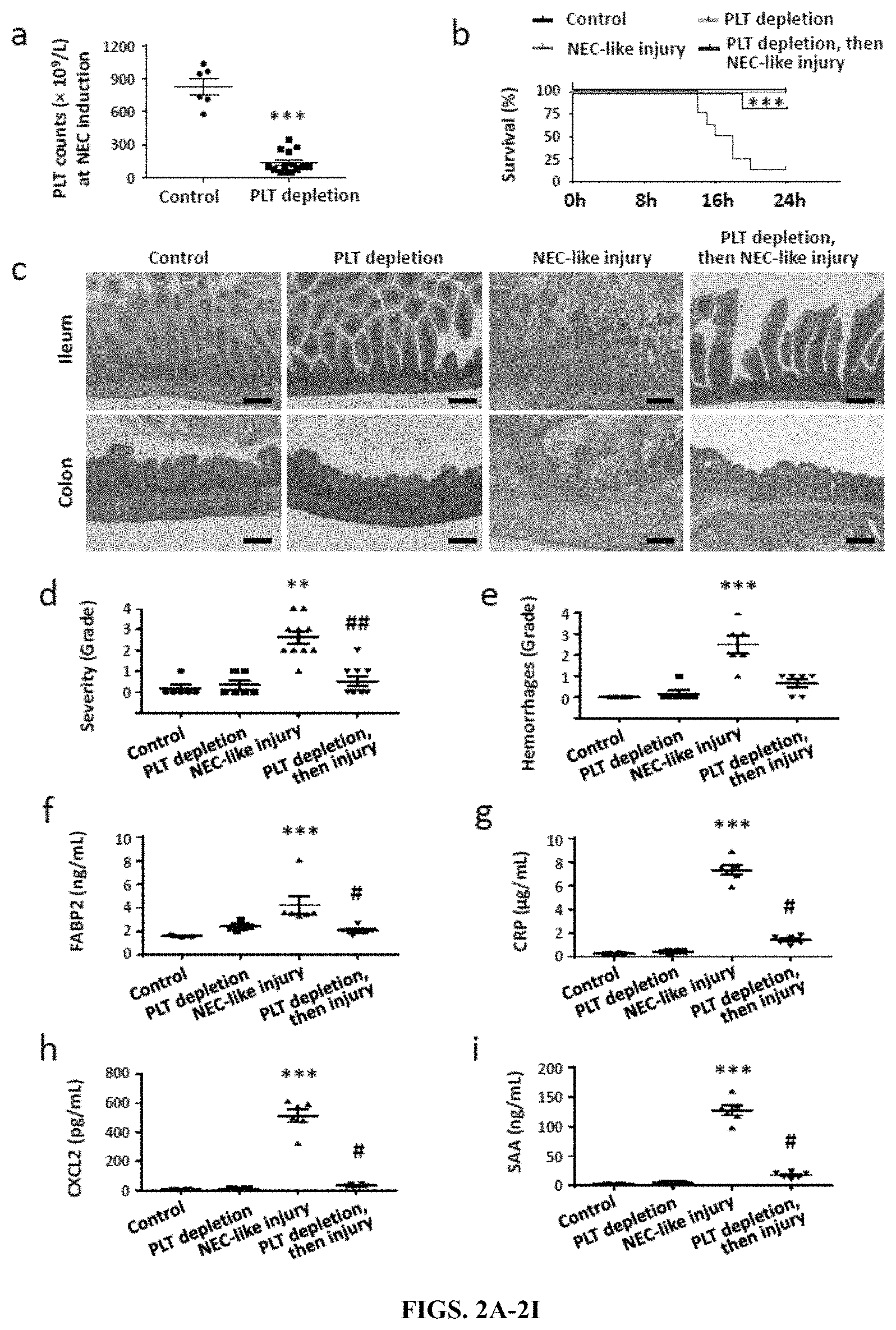 Patent US11779544 Figure 2 – Antithrombotic nanoparticles and methods for treating necrotizing enterocolitis