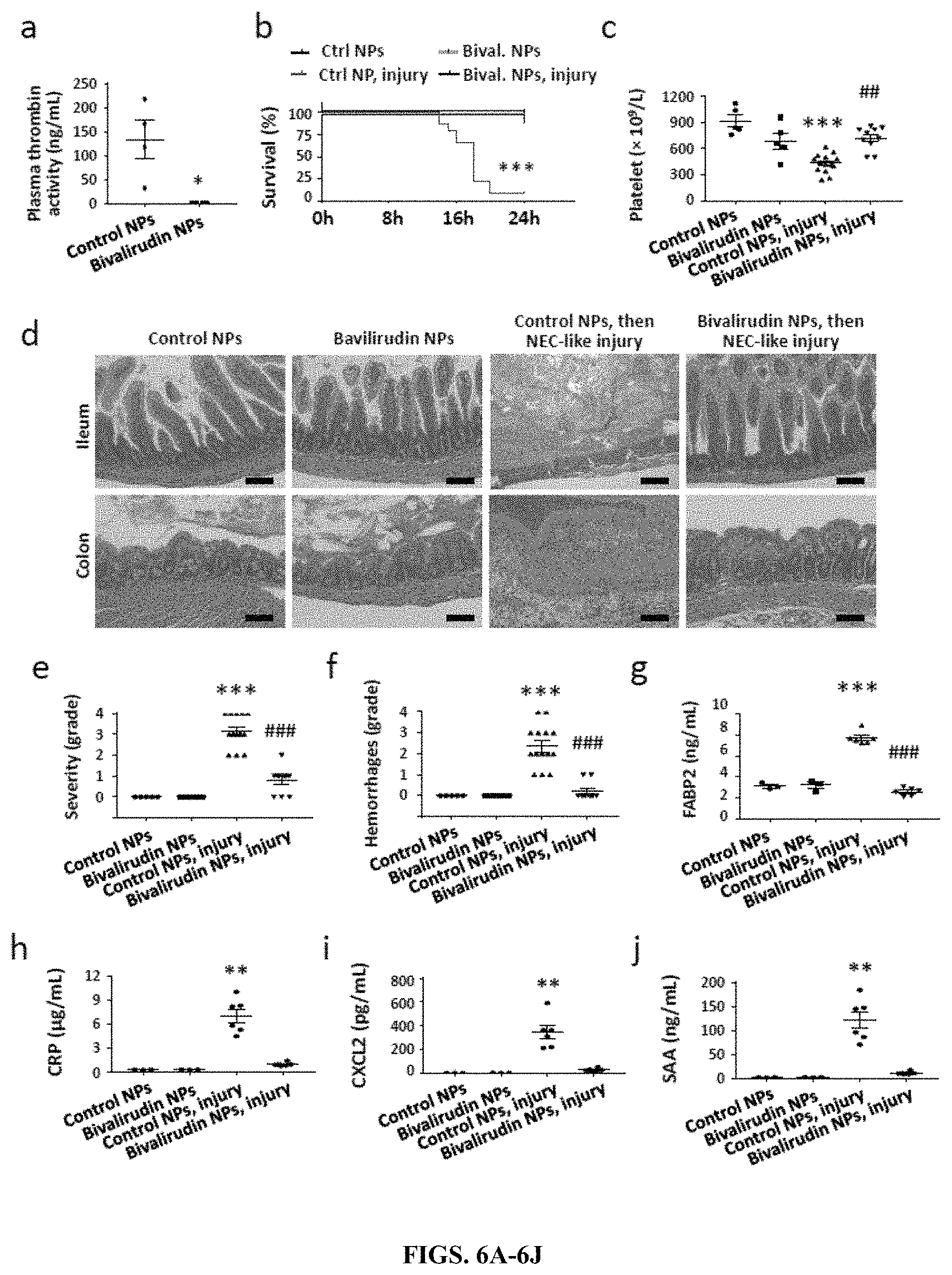 Patent US11779544 Figure 6 – Antithrombotic nanoparticles and methods for treating necrotizing enterocolitis