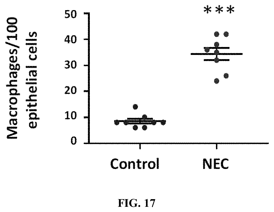Patent US11779544 Figure 14 – Antithrombotic nanoparticles and methods for treating necrotizing enterocolitis