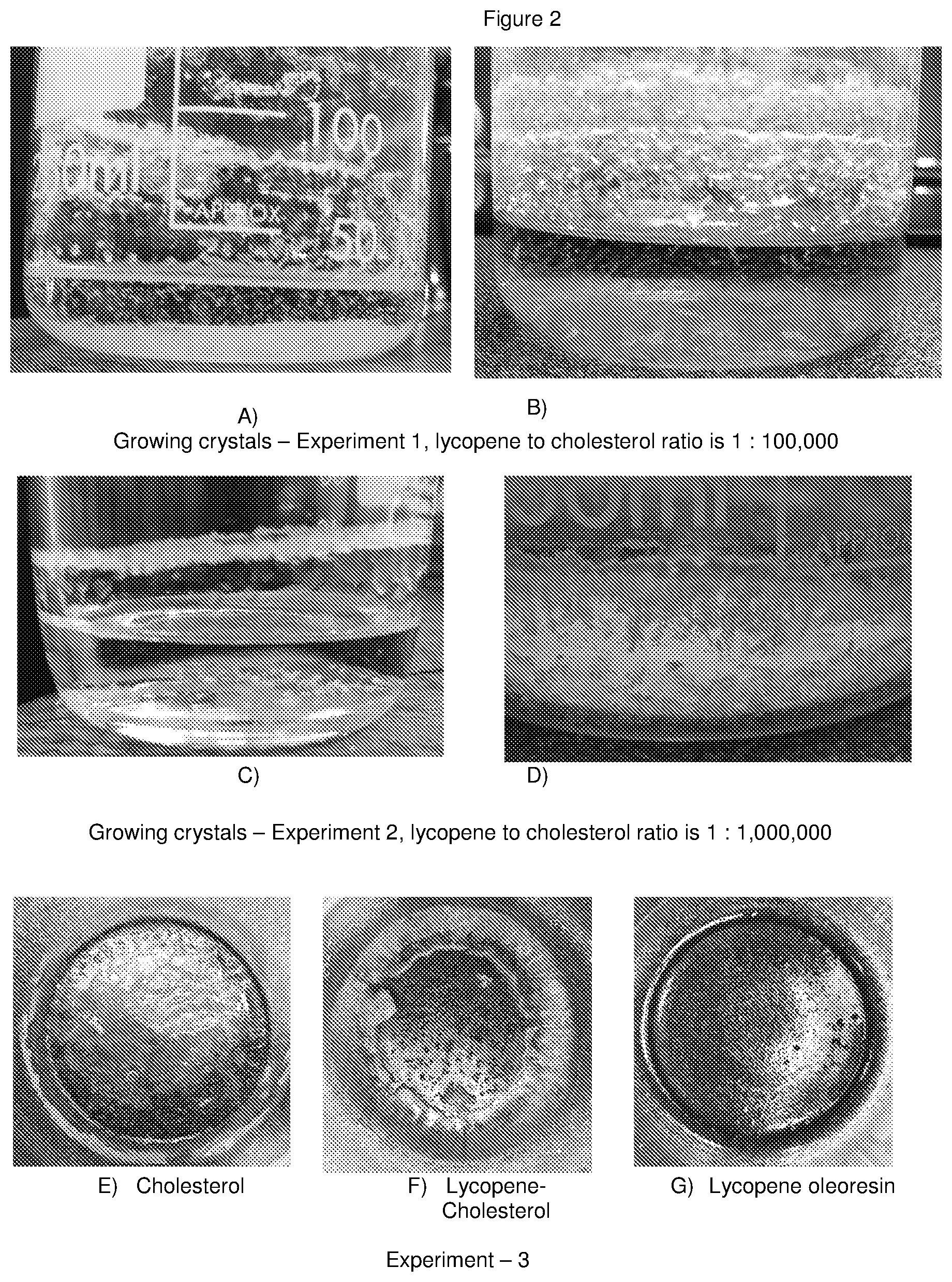 Patent US11779546 Figure 3 – Disassembly of cholesterol crystals