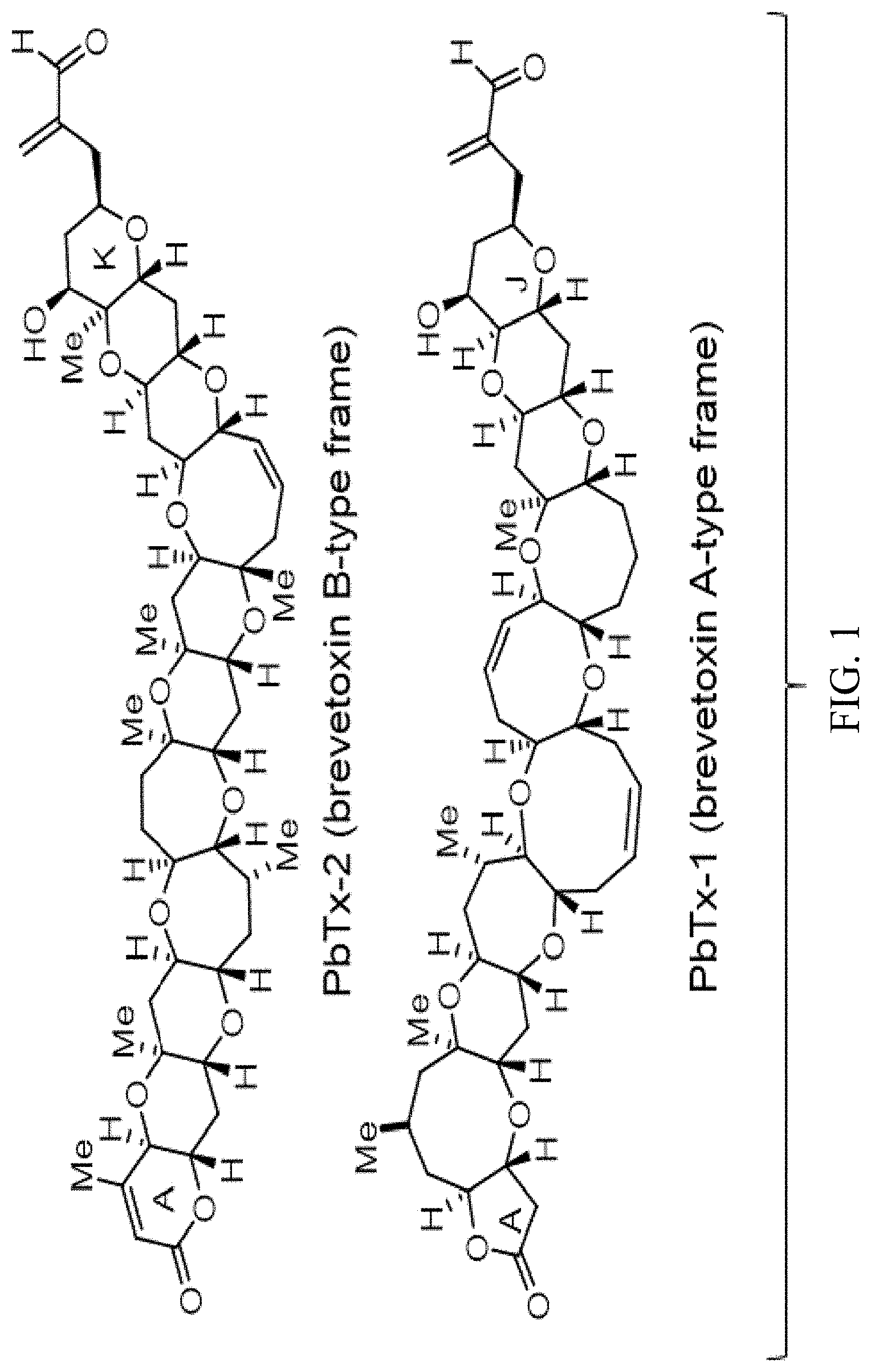 Patent US11779551 Figure 1 – Antitoxins to brevetoxin