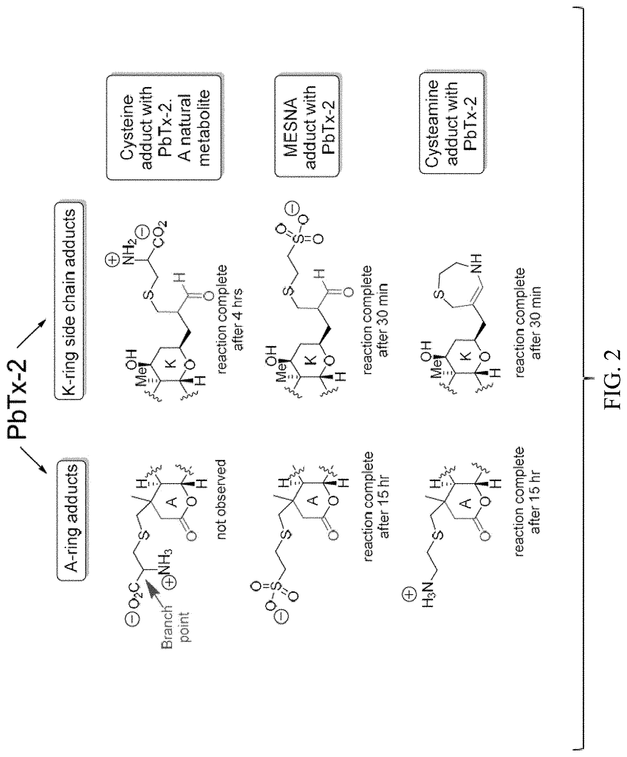 Patent US11779551 Figure 2 – Antitoxins to brevetoxin