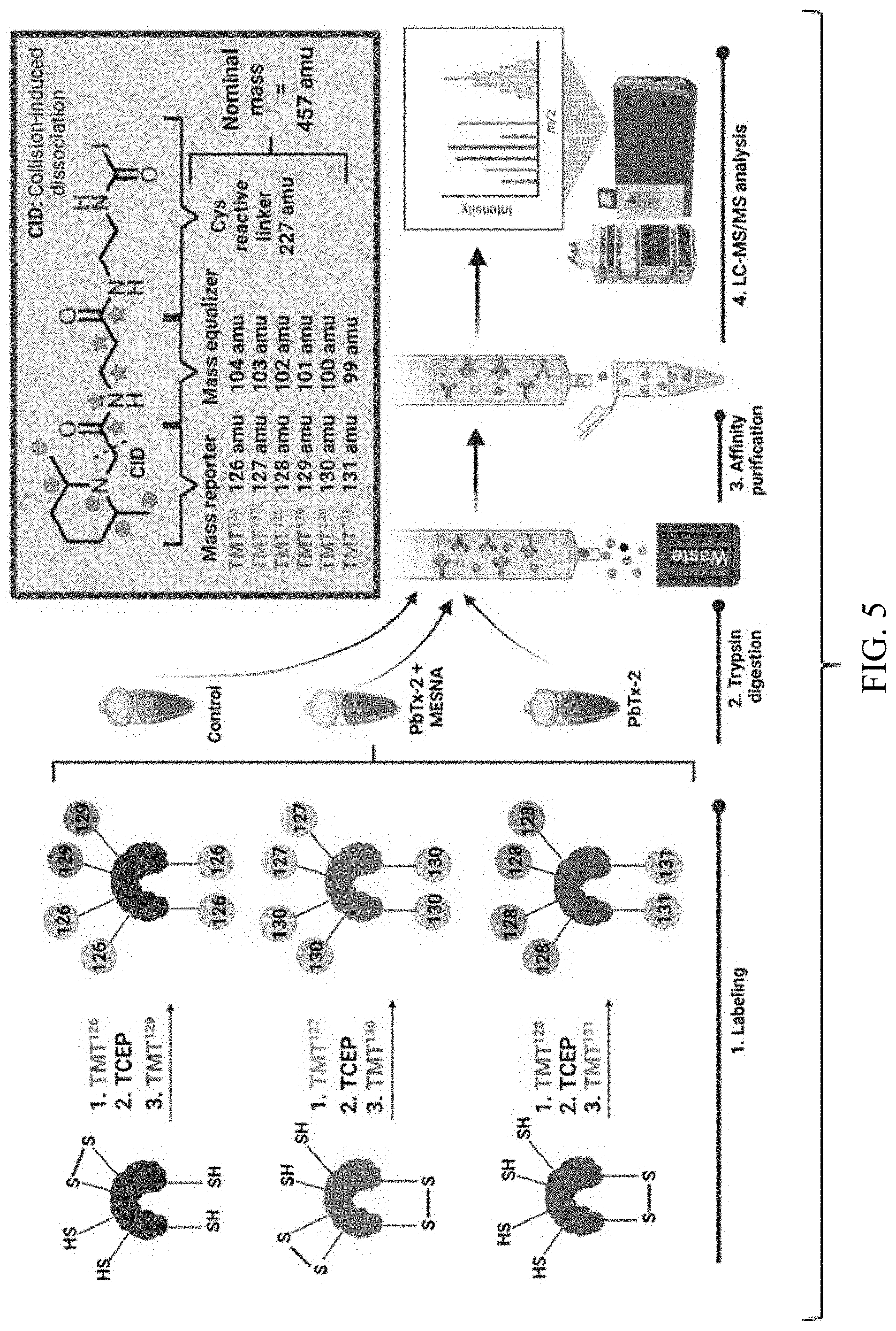 Patent US11779551 Figure 5 – Antitoxins to brevetoxin