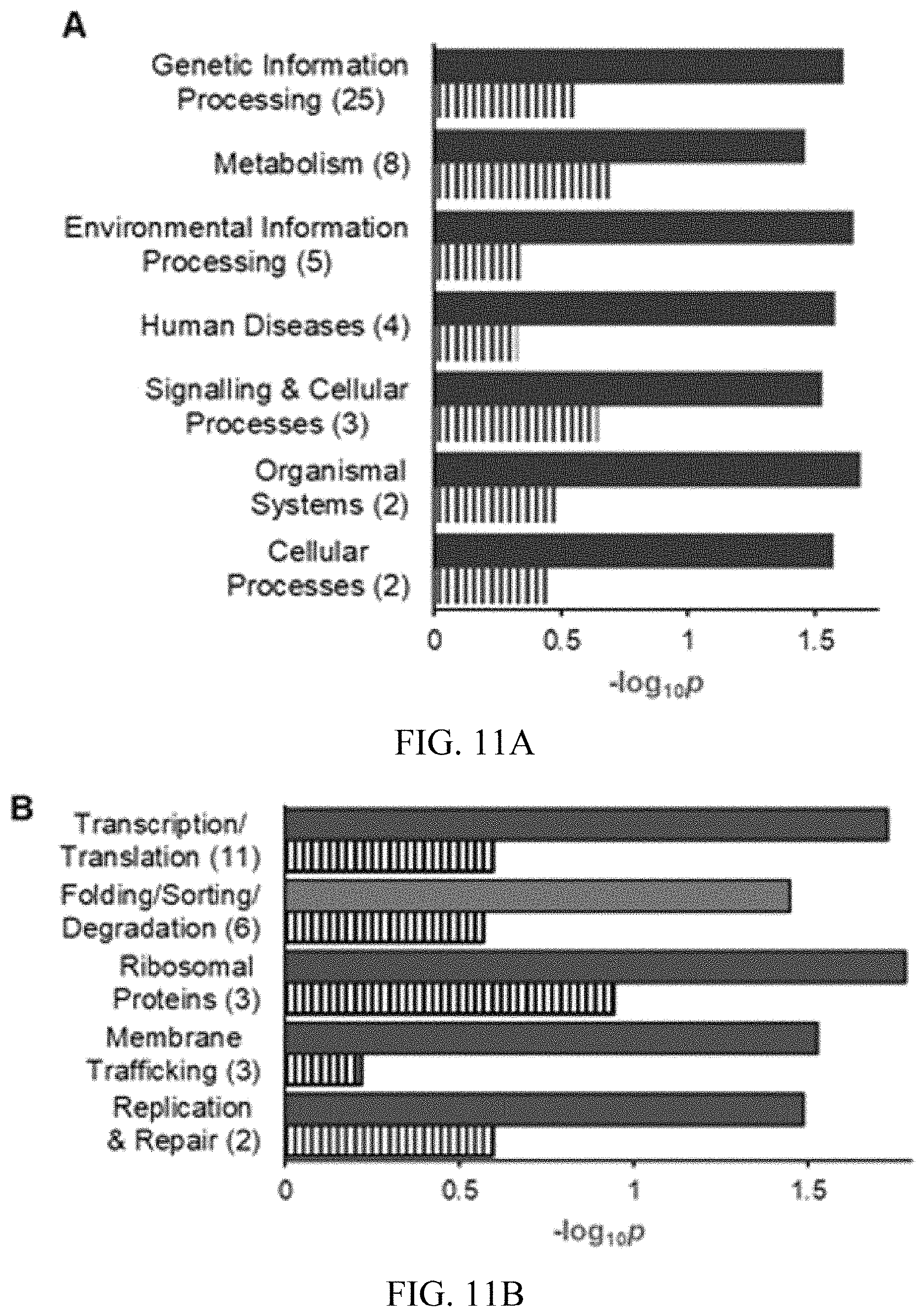 Patent US11779551 Figure 12 – Antitoxins to brevetoxin