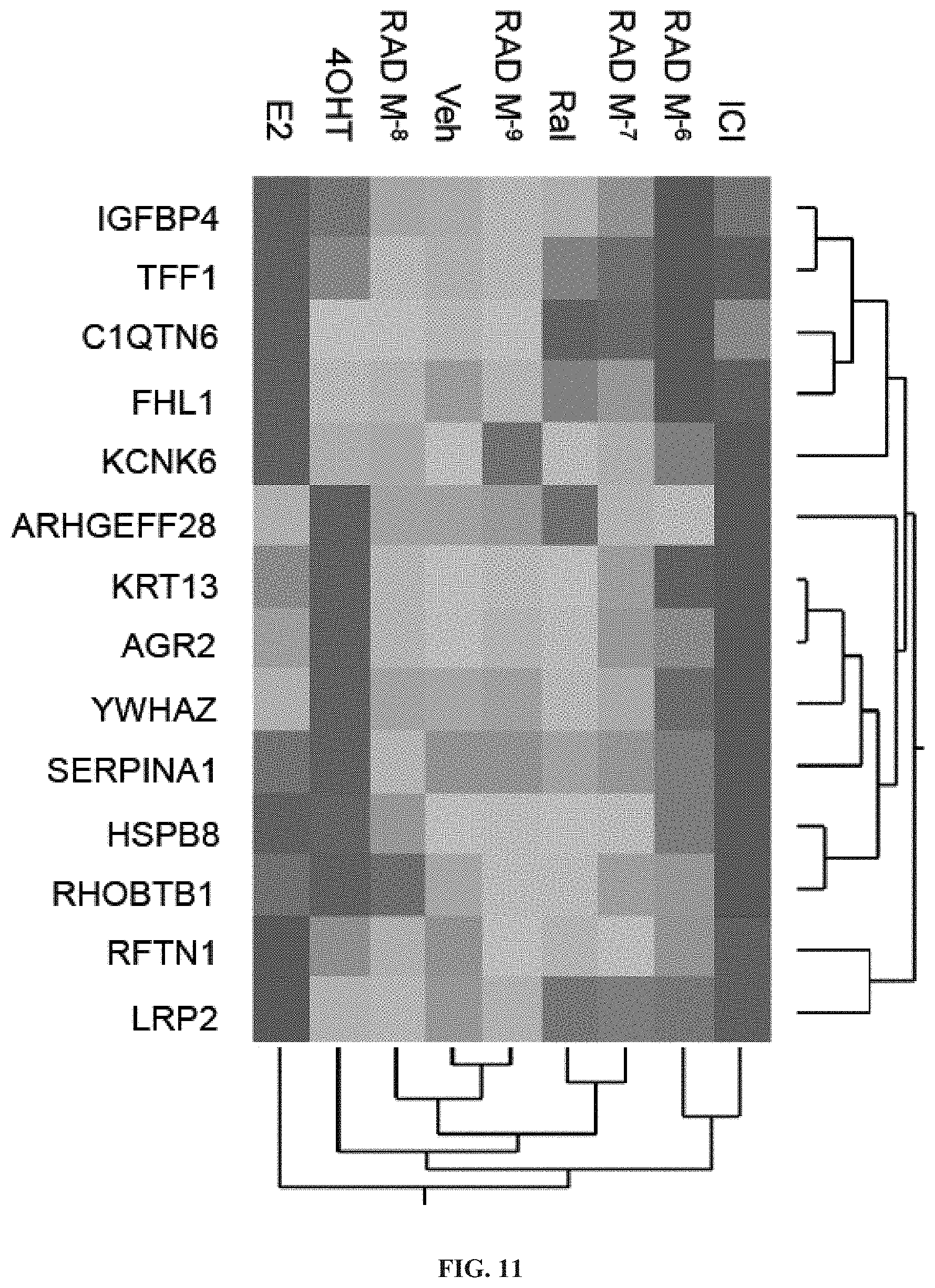 Patent US11779552 Figure 13 – Method of treating cancer using selective estrogen receptor modulators