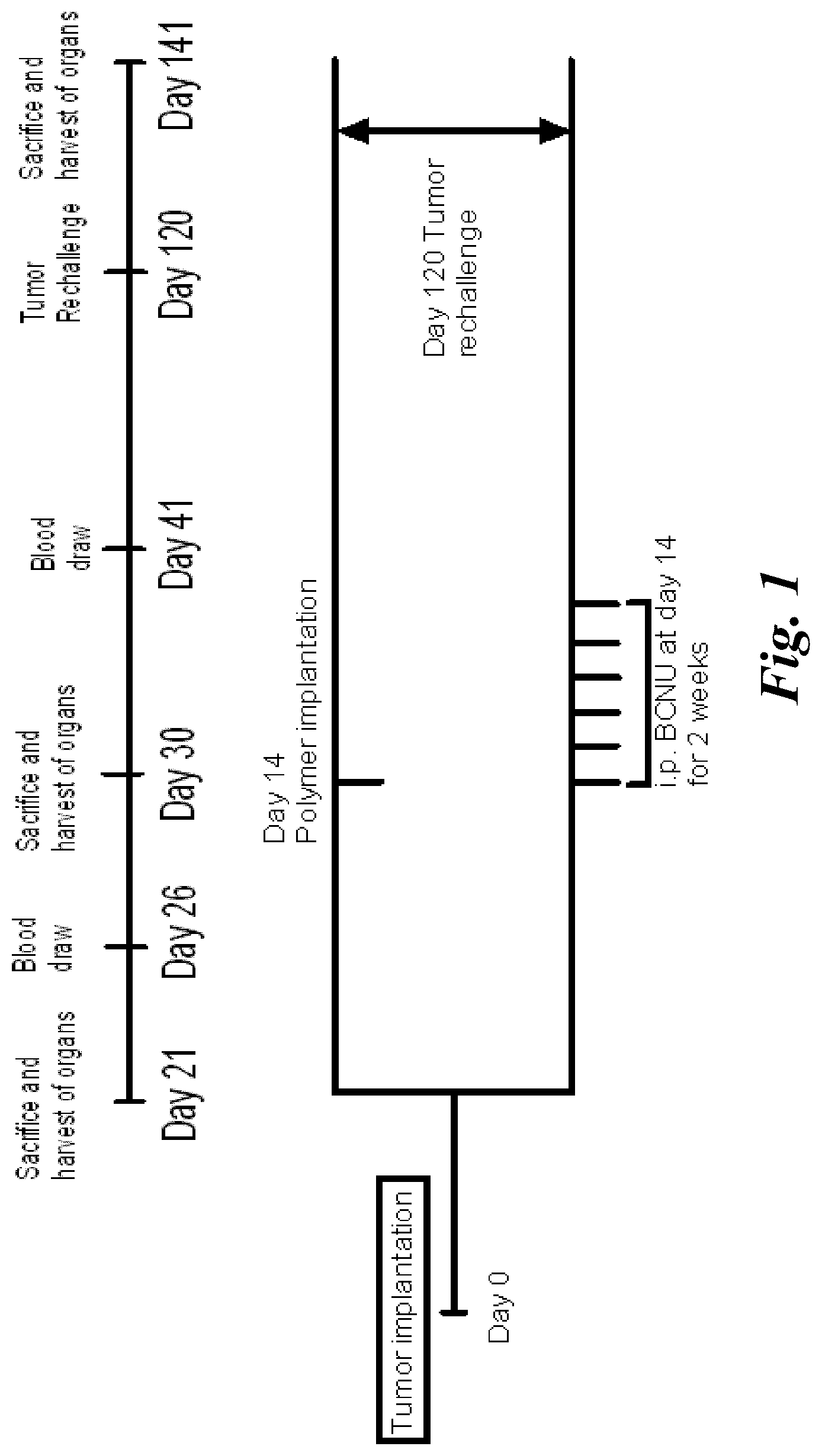 Patent US11779555 Figure 1 – Combination of immunotherapy with local chemotherapy for the treatment of malignancies