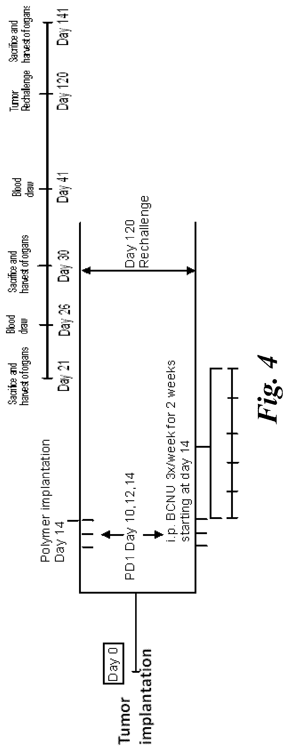 Patent US11779555 Figure 7 – Combination of immunotherapy with local chemotherapy for the treatment of malignancies