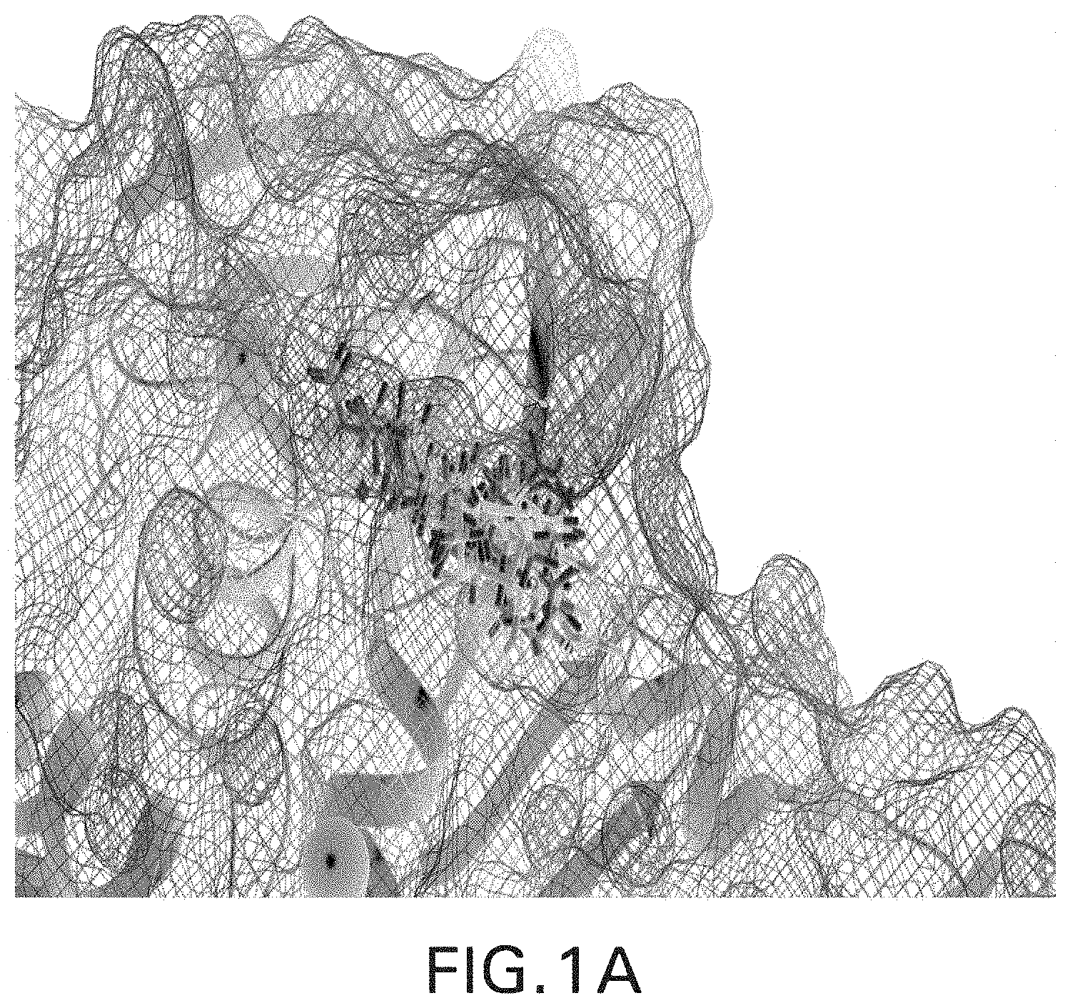 Patent US11779560 Figure 1 – Methods of using nitric oxide donor compounds for treatment of COVID-19 and other infectious diseases