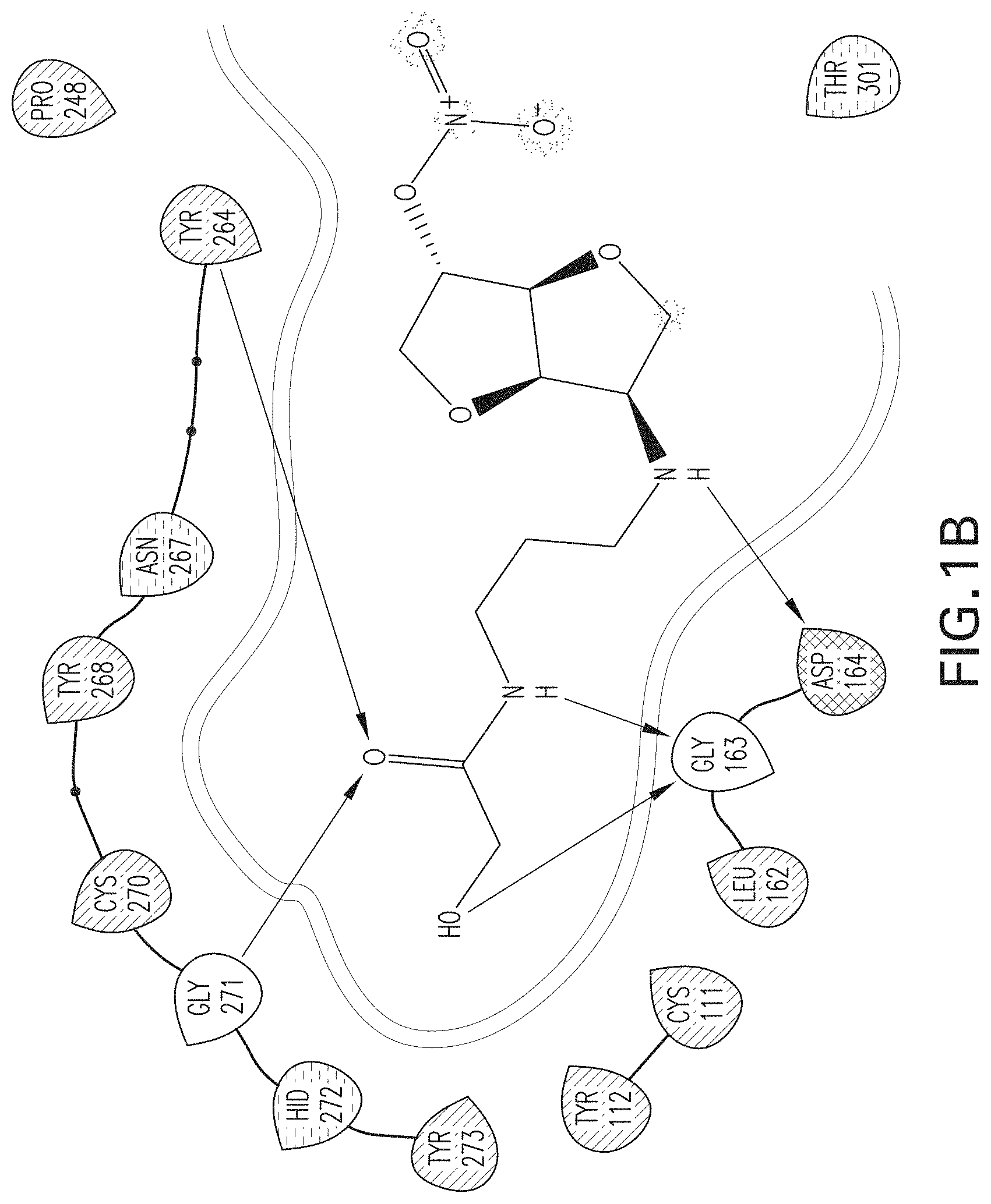 Patent US11779560 Figure 2 – Methods of using nitric oxide donor compounds for treatment of COVID-19 and other infectious diseases