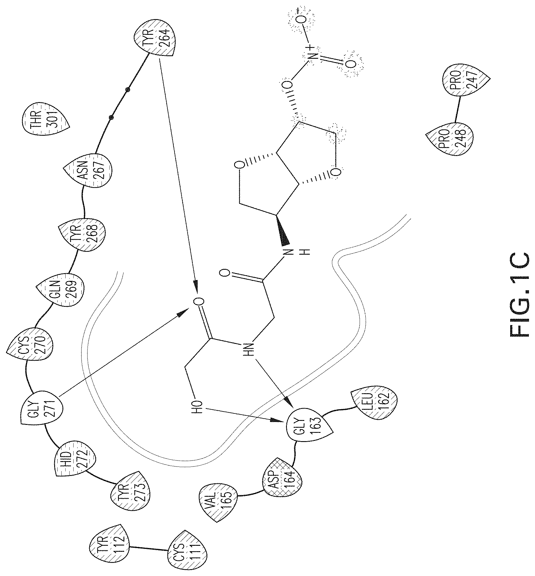 Patent US11779560 Figure 3 – Methods of using nitric oxide donor compounds for treatment of COVID-19 and other infectious diseases