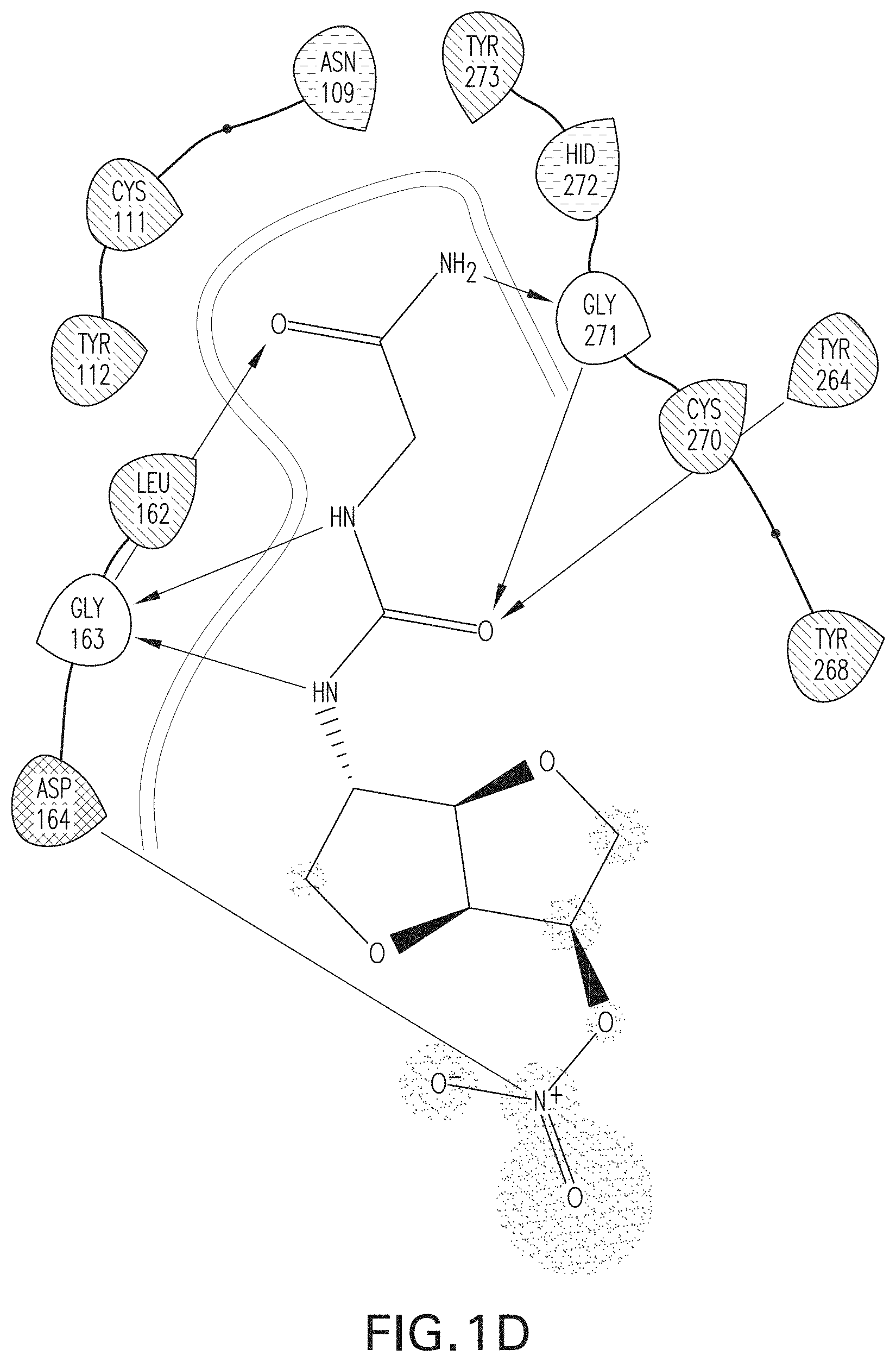 Patent US11779560 Figure 4 – Methods of using nitric oxide donor compounds for treatment of COVID-19 and other infectious diseases