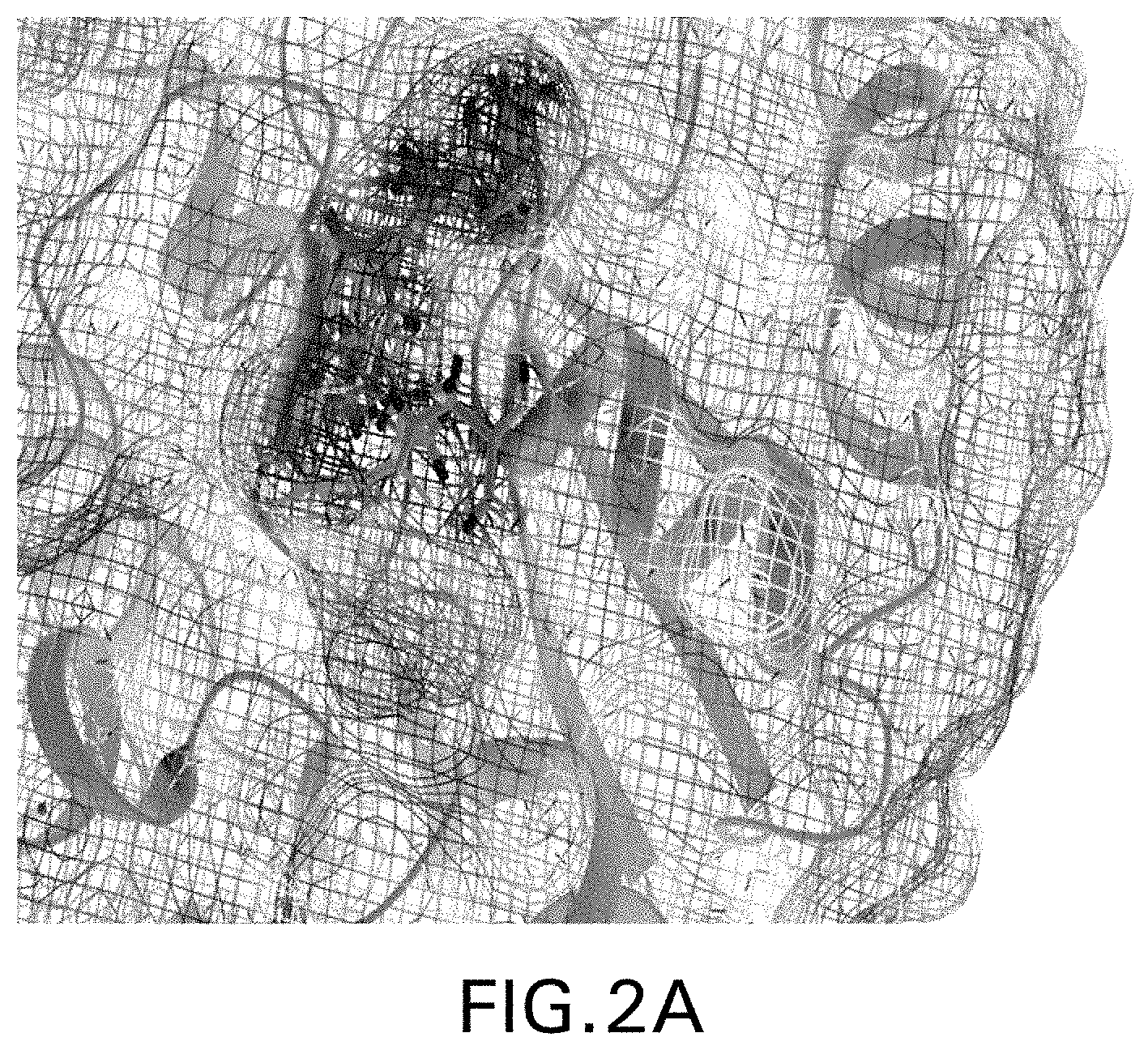 Patent US11779560 Figure 5 – Methods of using nitric oxide donor compounds for treatment of COVID-19 and other infectious diseases