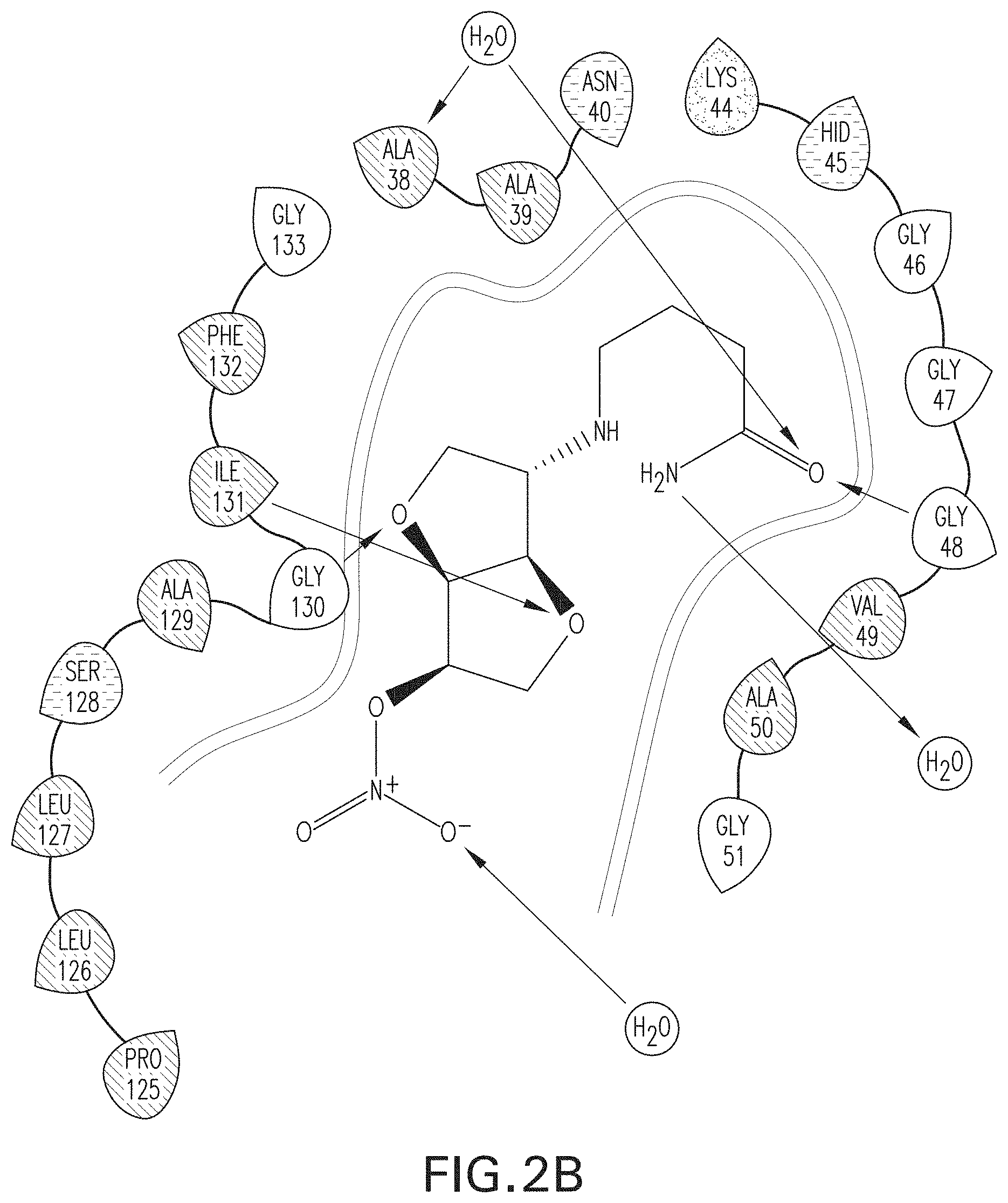 Patent US11779560 Figure 6 – Methods of using nitric oxide donor compounds for treatment of COVID-19 and other infectious diseases