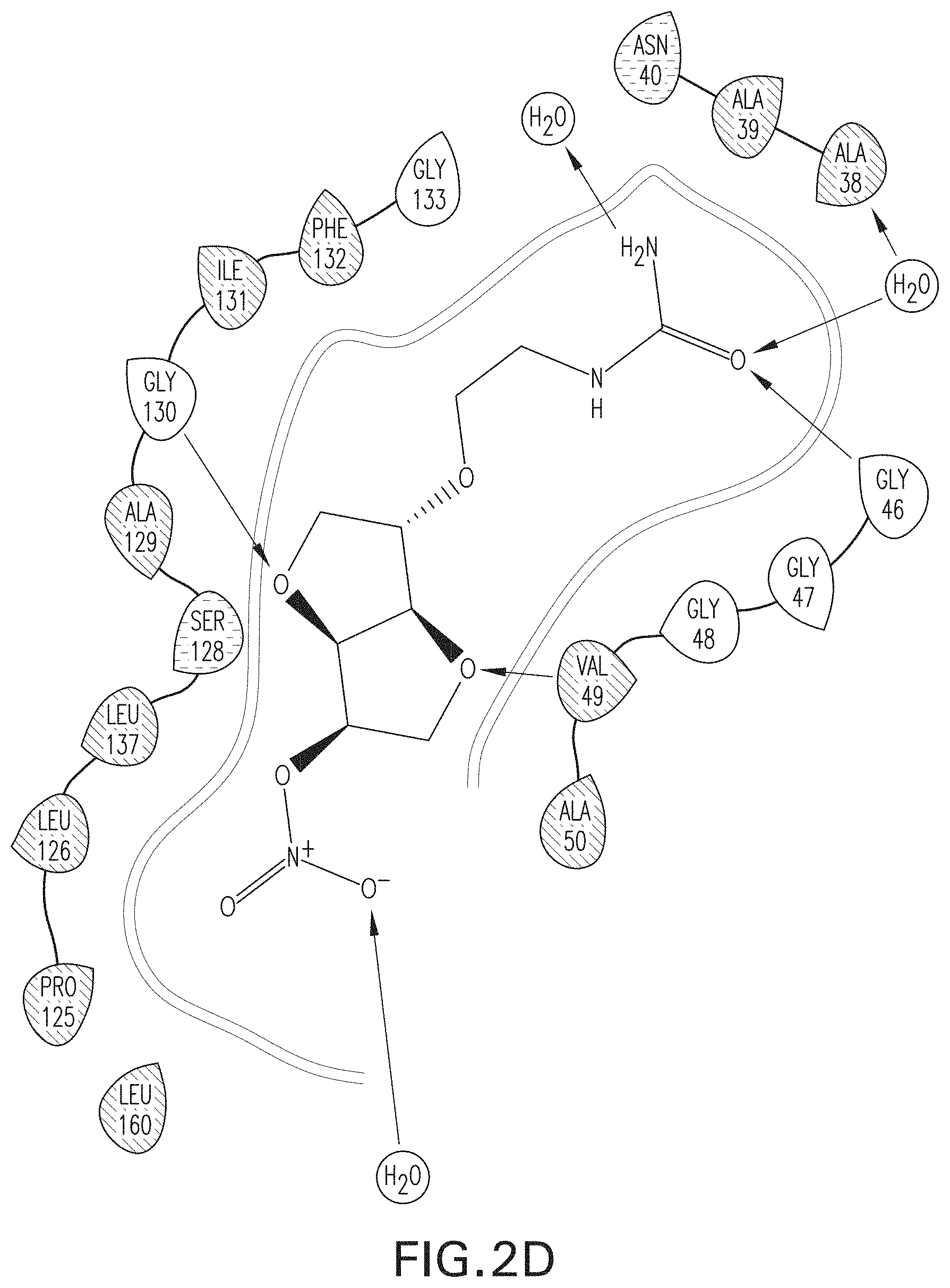 Patent US11779560 Figure 8 – Methods of using nitric oxide donor compounds for treatment of COVID-19 and other infectious diseases