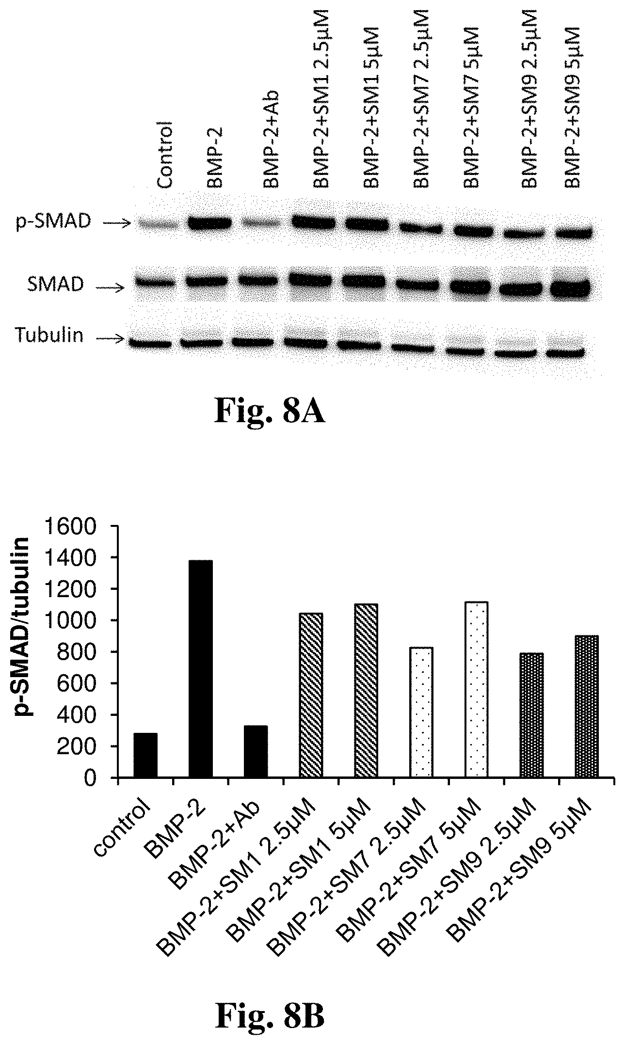 Patent US11779565 Figure 9 – Small organic molecules for use in the treatment of neuroinflammatory disorders