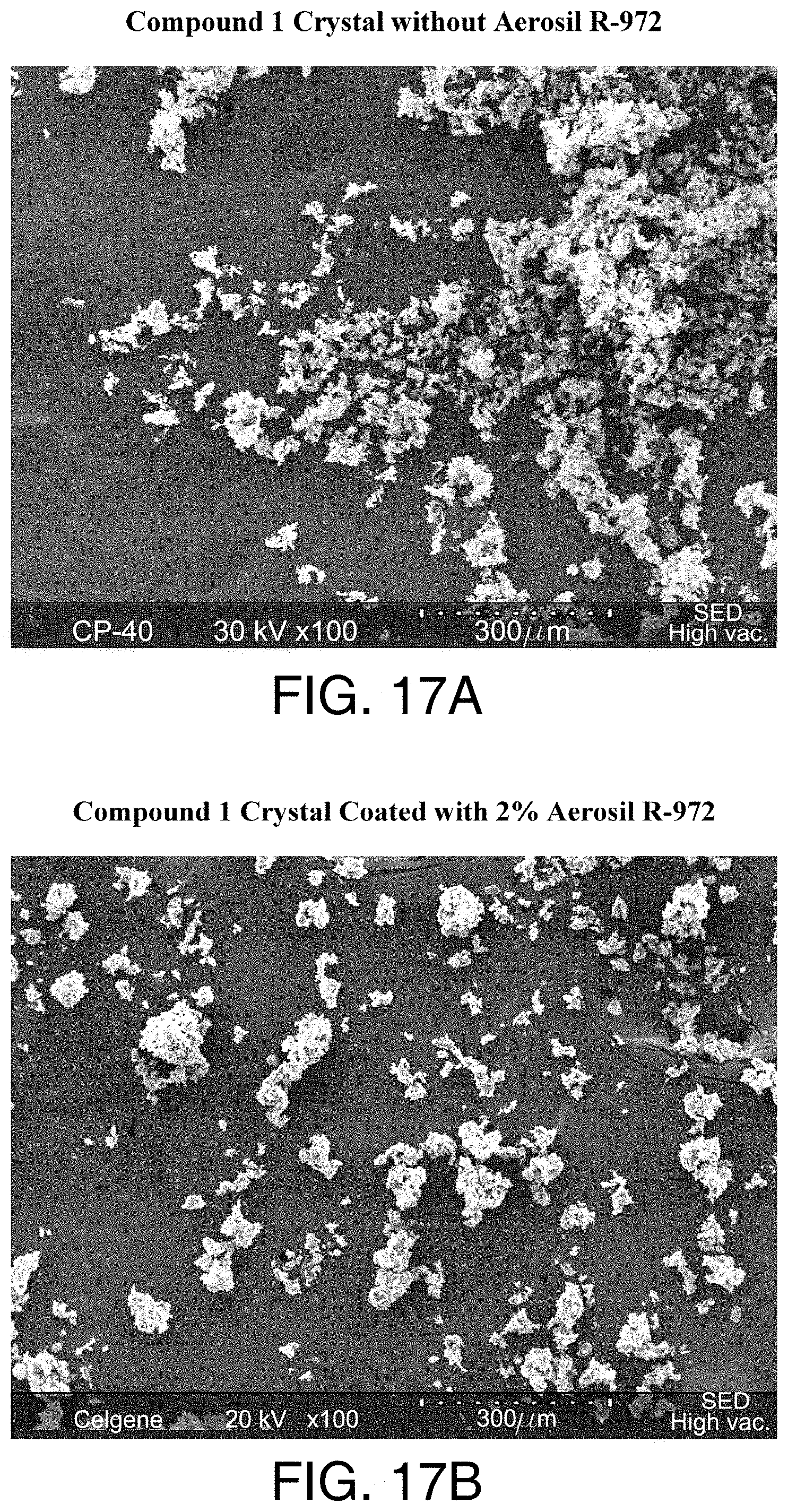 Patent US11779580 Figure 12 – Pharmaceutical compositions comprising (s)-4-(4-(4- (((2-(2,6-dioxopiperidin-3-yl)-1-oxoisoindolin-4-yl)oxy)methyl)benzyl)piperazin-1-yl)-3-fluorobenzonitrtle and methods of using the