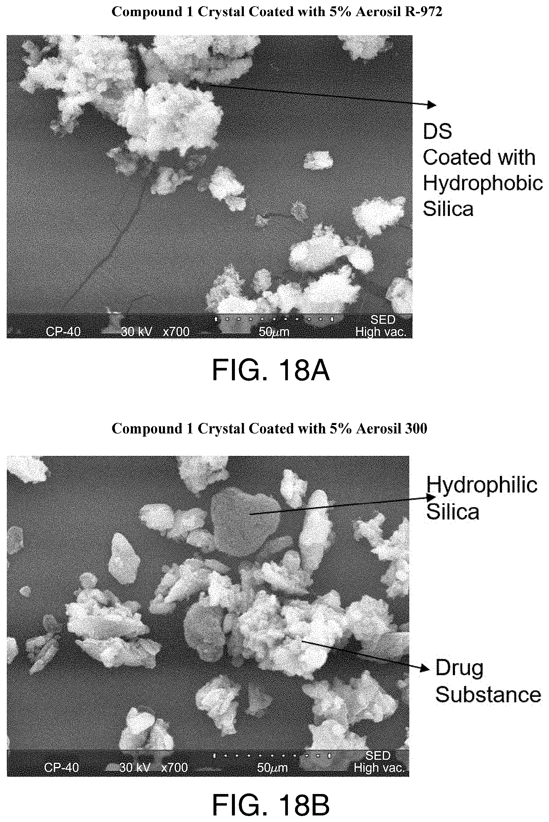 Patent US11779580 Figure 13 – Pharmaceutical compositions comprising (s)-4-(4-(4- (((2-(2,6-dioxopiperidin-3-yl)-1-oxoisoindolin-4-yl)oxy)methyl)benzyl)piperazin-1-yl)-3-fluorobenzonitrtle and methods of using the