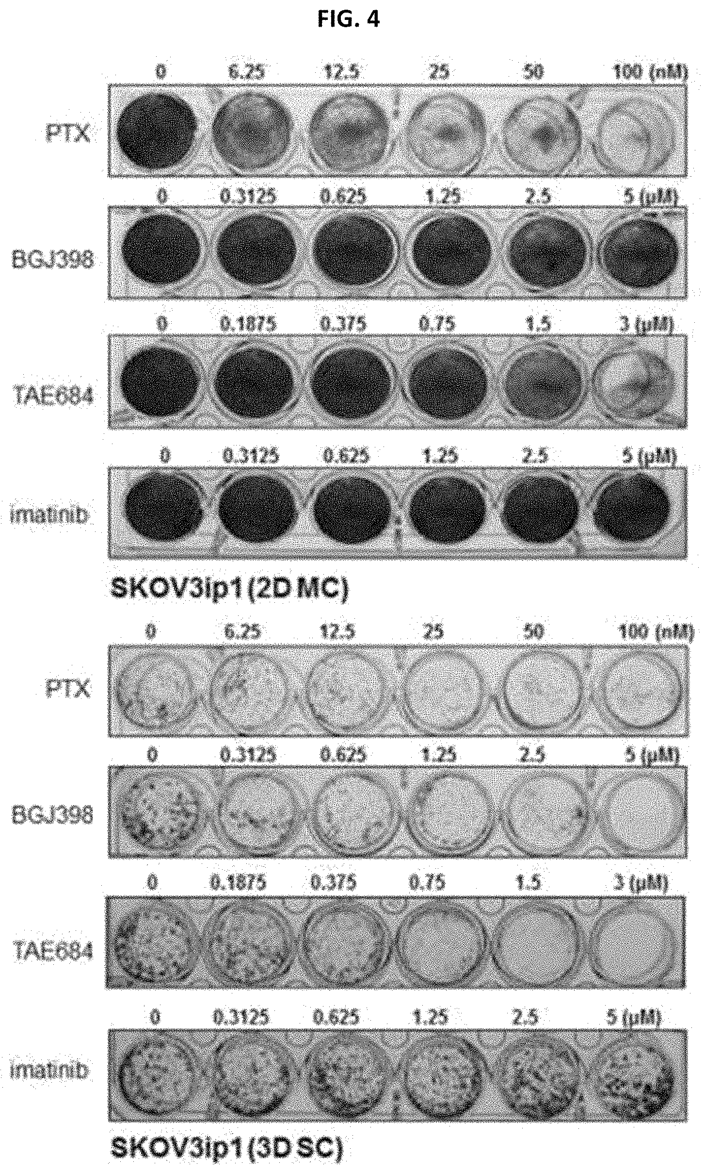 Patent US11779582 Figure 3 – Composition for preventing or treating metastatic ovarian cancer, endometrial cancer or breast cancer