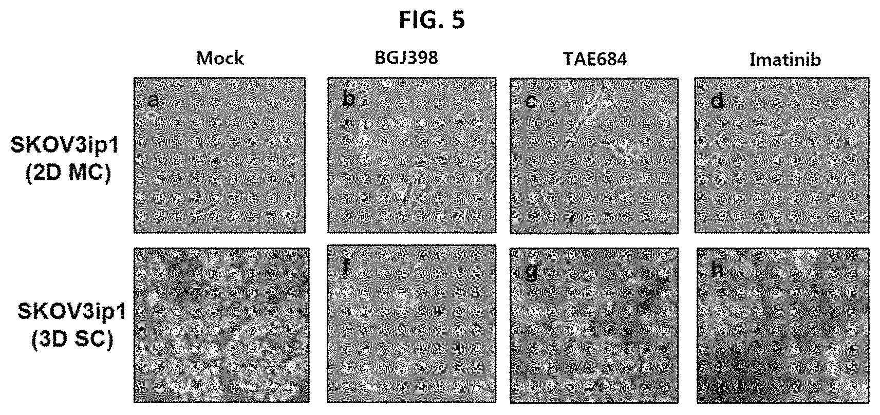 Patent US11779582 Figure 4 – Composition for preventing or treating metastatic ovarian cancer, endometrial cancer or breast cancer