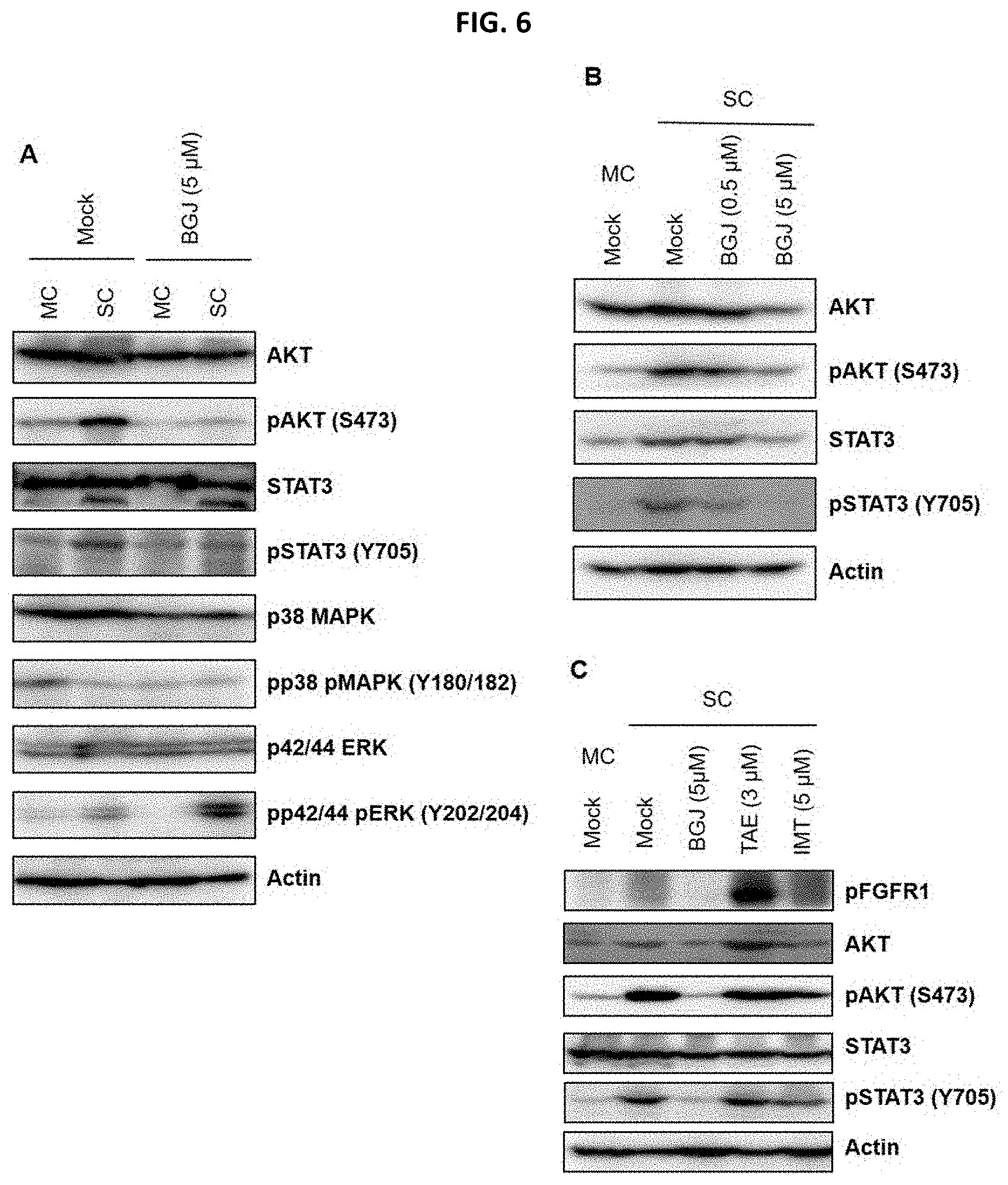 Patent US11779582 Figure 5 – Composition for preventing or treating metastatic ovarian cancer, endometrial cancer or breast cancer