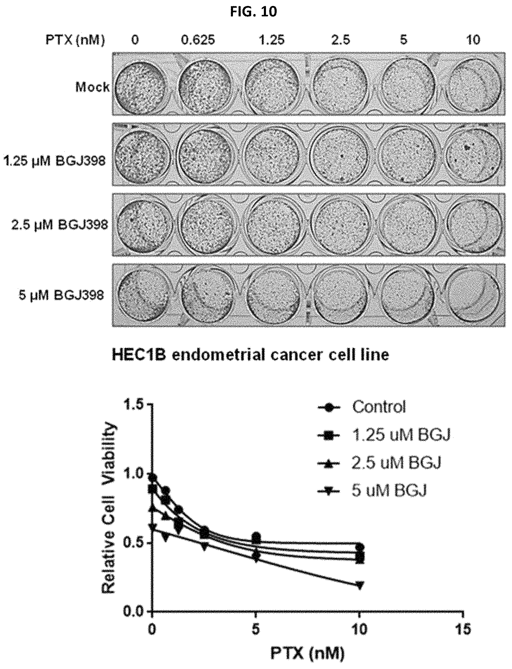 Patent US11779582 Figure 8 – Composition for preventing or treating metastatic ovarian cancer, endometrial cancer or breast cancer