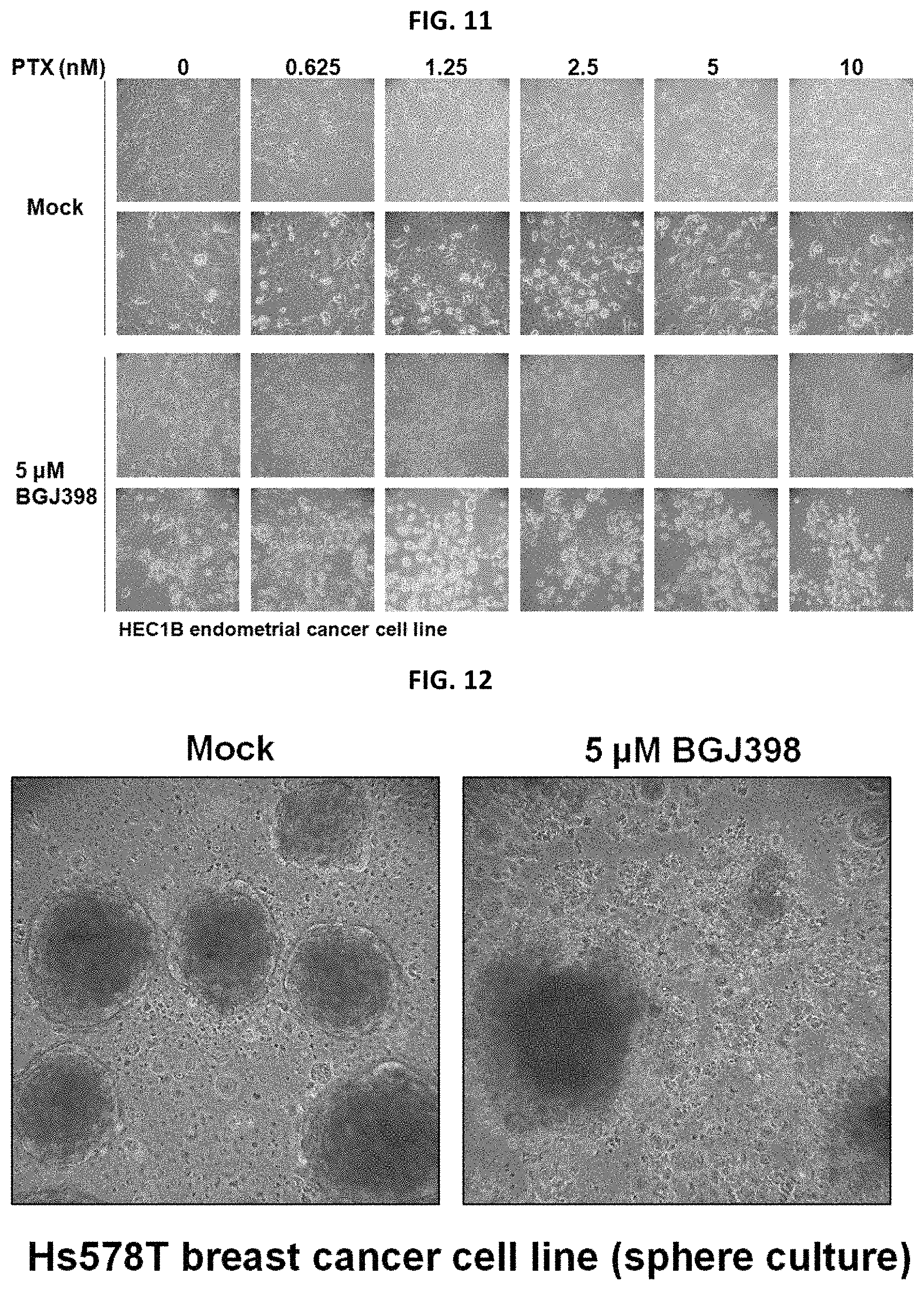 Patent US11779582 Figure 9 – Composition for preventing or treating metastatic ovarian cancer, endometrial cancer or breast cancer