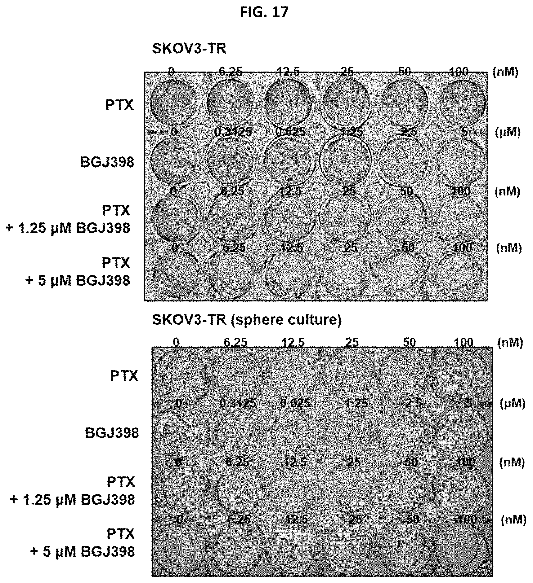 Patent US11779582 Figure 13 – Composition for preventing or treating metastatic ovarian cancer, endometrial cancer or breast cancer