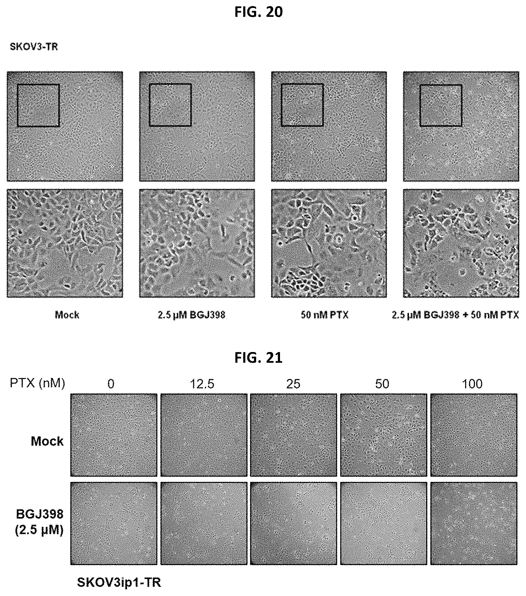 Patent US11779582 Figure 16 – Composition for preventing or treating metastatic ovarian cancer, endometrial cancer or breast cancer