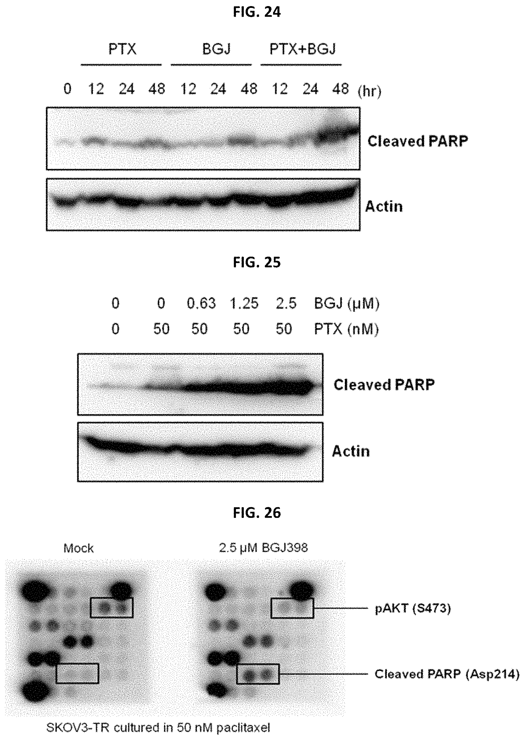 Patent US11779582 Figure 18 – Composition for preventing or treating metastatic ovarian cancer, endometrial cancer or breast cancer