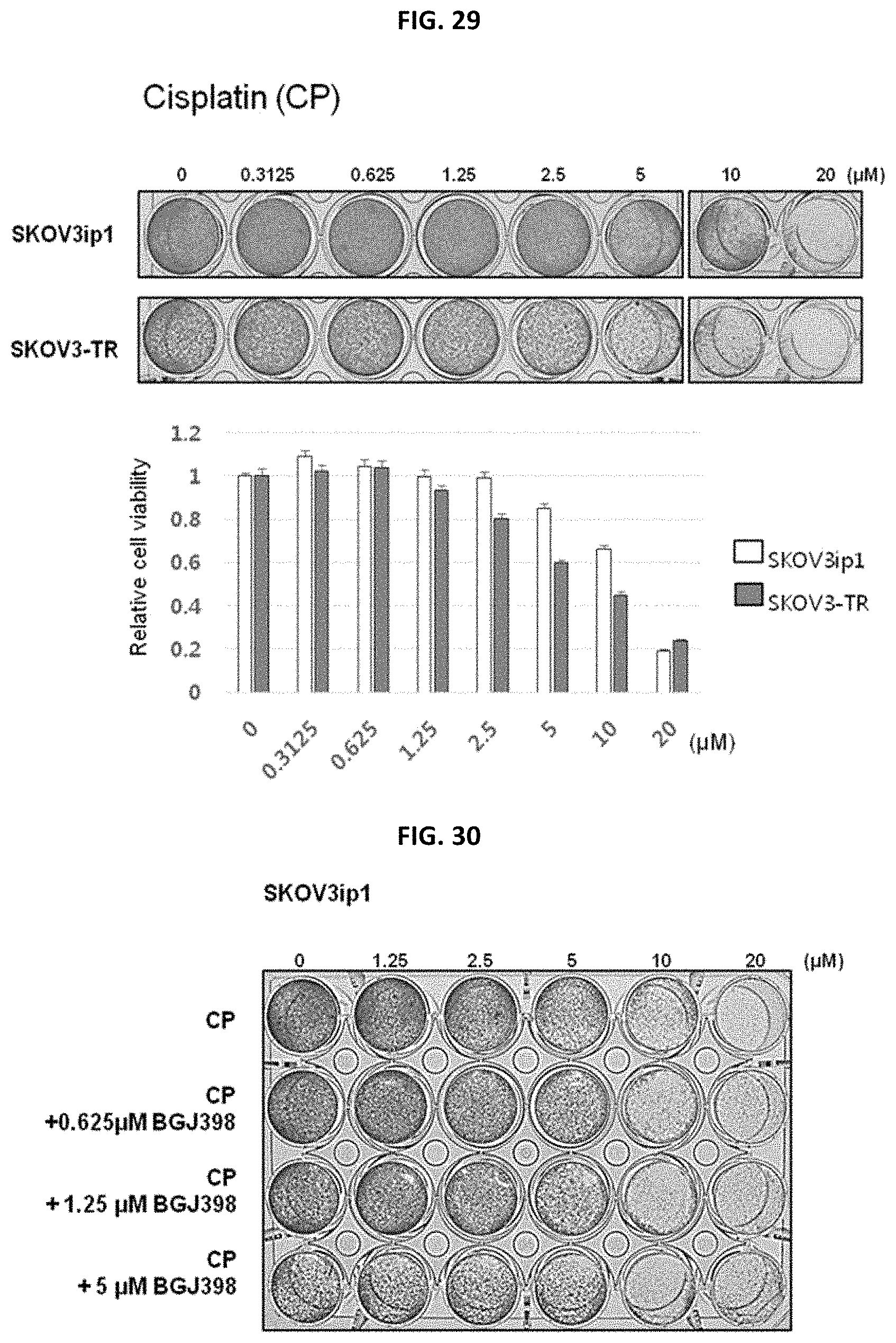 Patent US11779582 Figure 20 – Composition for preventing or treating metastatic ovarian cancer, endometrial cancer or breast cancer