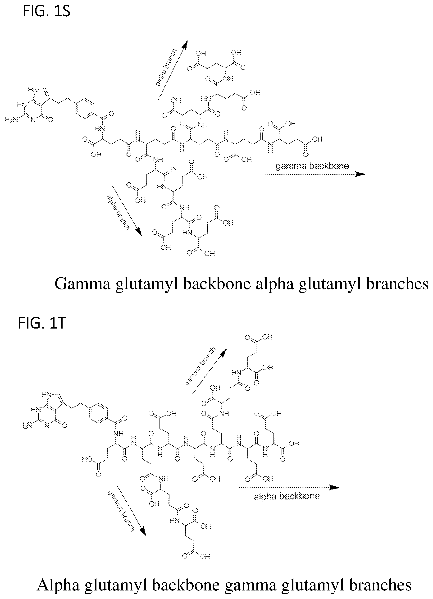 Patent US11779584 Figure 5 – Alpha polyglutamated pemetrexed and uses thereof