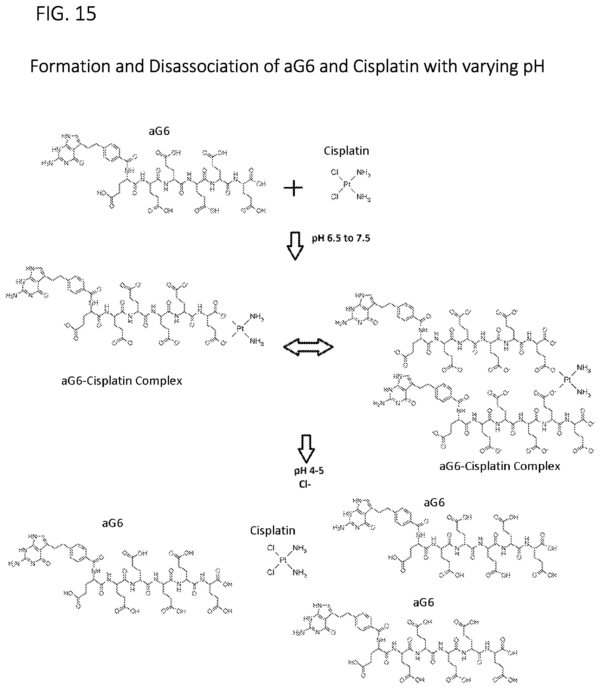 Patent US11779584 Figure 14 – Alpha polyglutamated pemetrexed and uses thereof