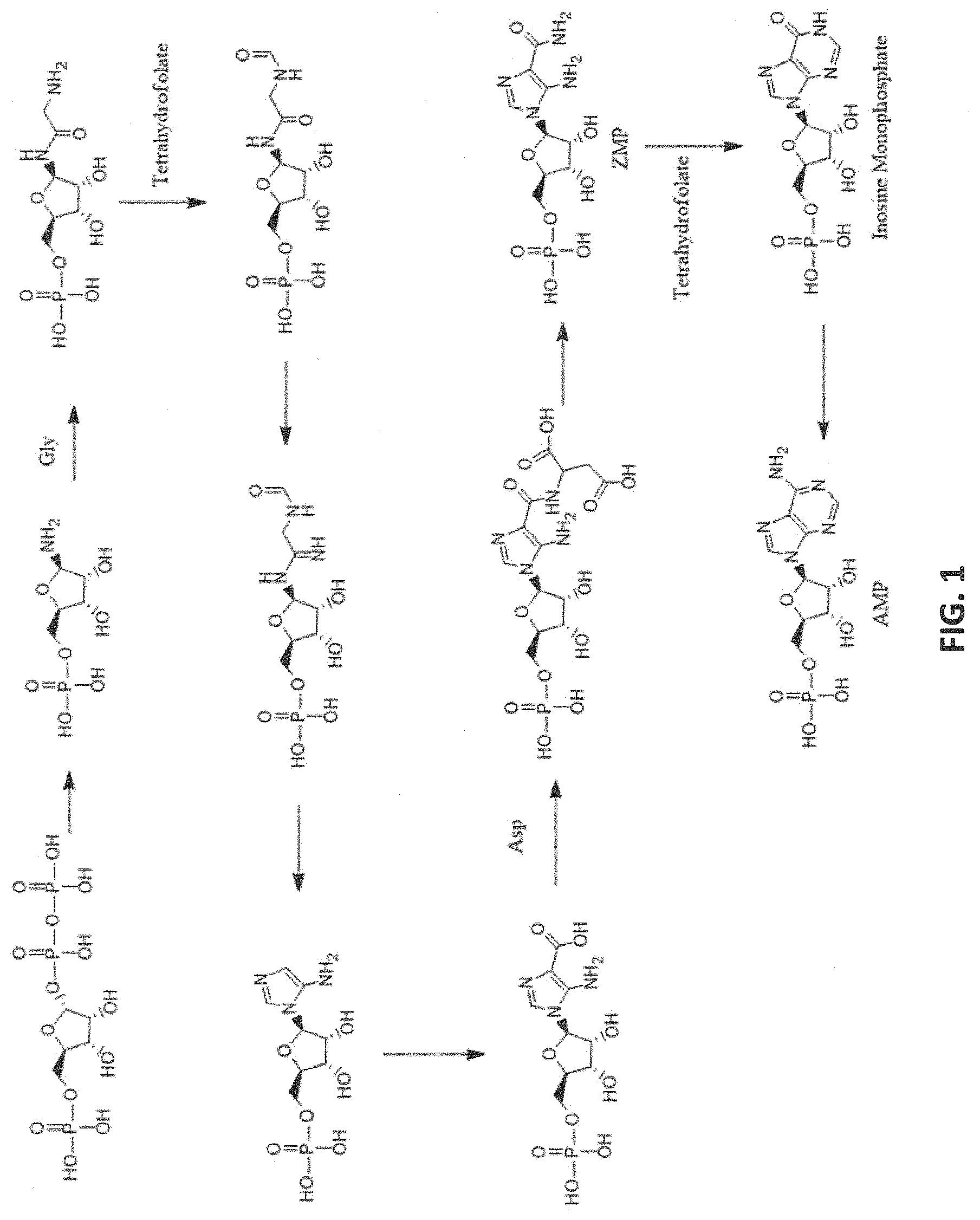 Patent US11779590 — AMP-activated protein kinase activating compounds and uses thereof — Figure 1