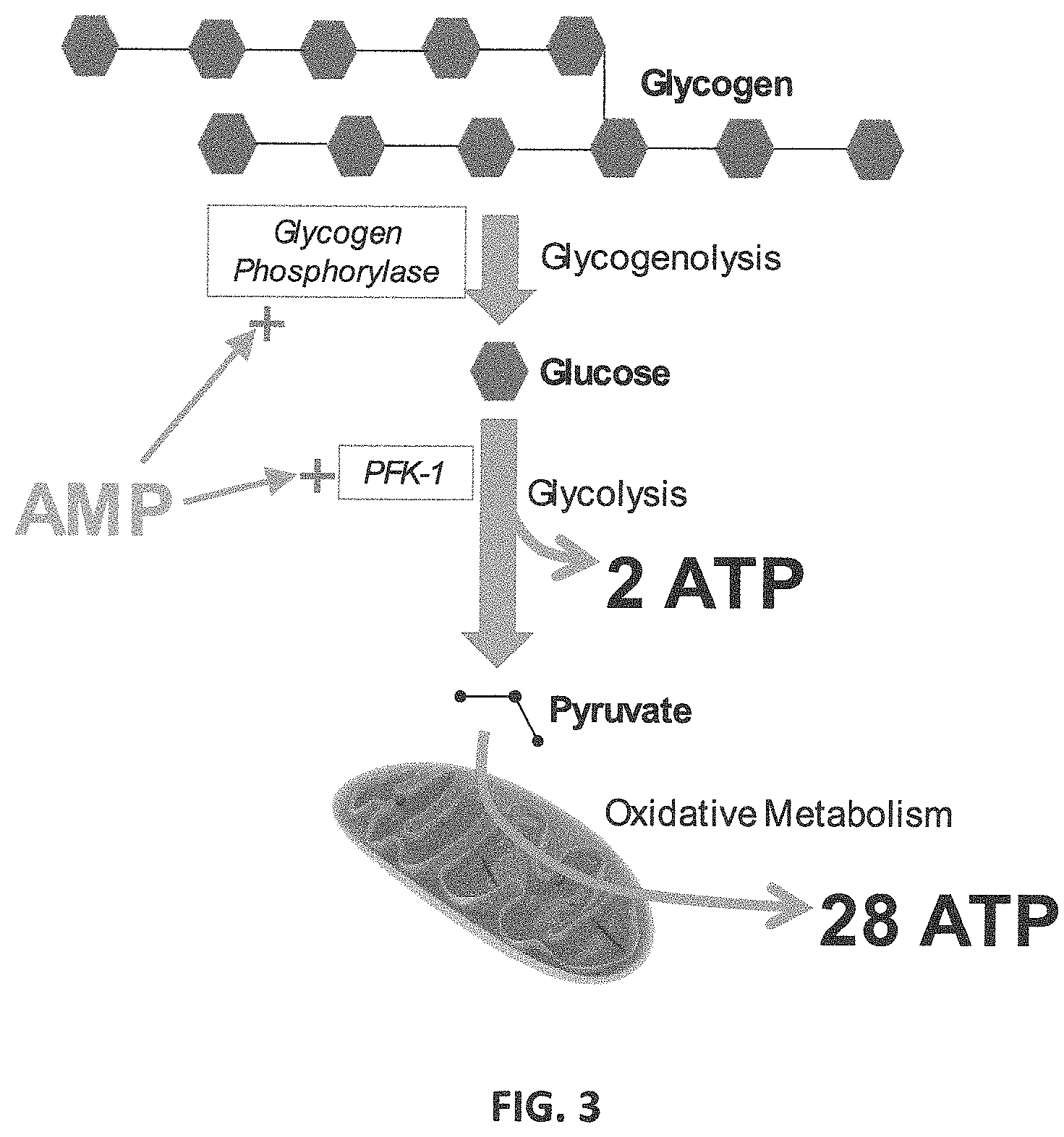 Patent US11779590 Figure 3 – AMP-activated protein kinase activating compounds and uses thereof