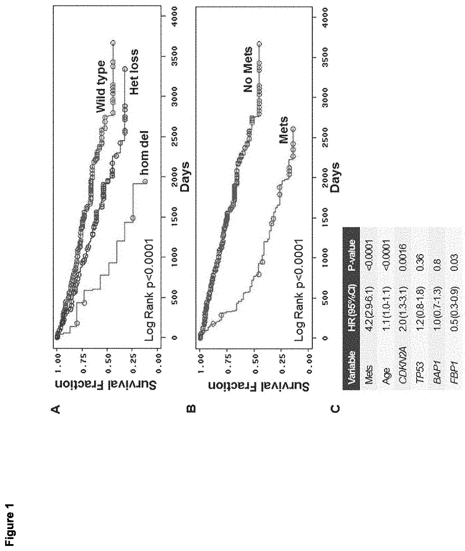 Patent US11779591 — Compositions containing decitabine, 5azacytidine and tetrahydrouridine and uses thereof — Figure 1