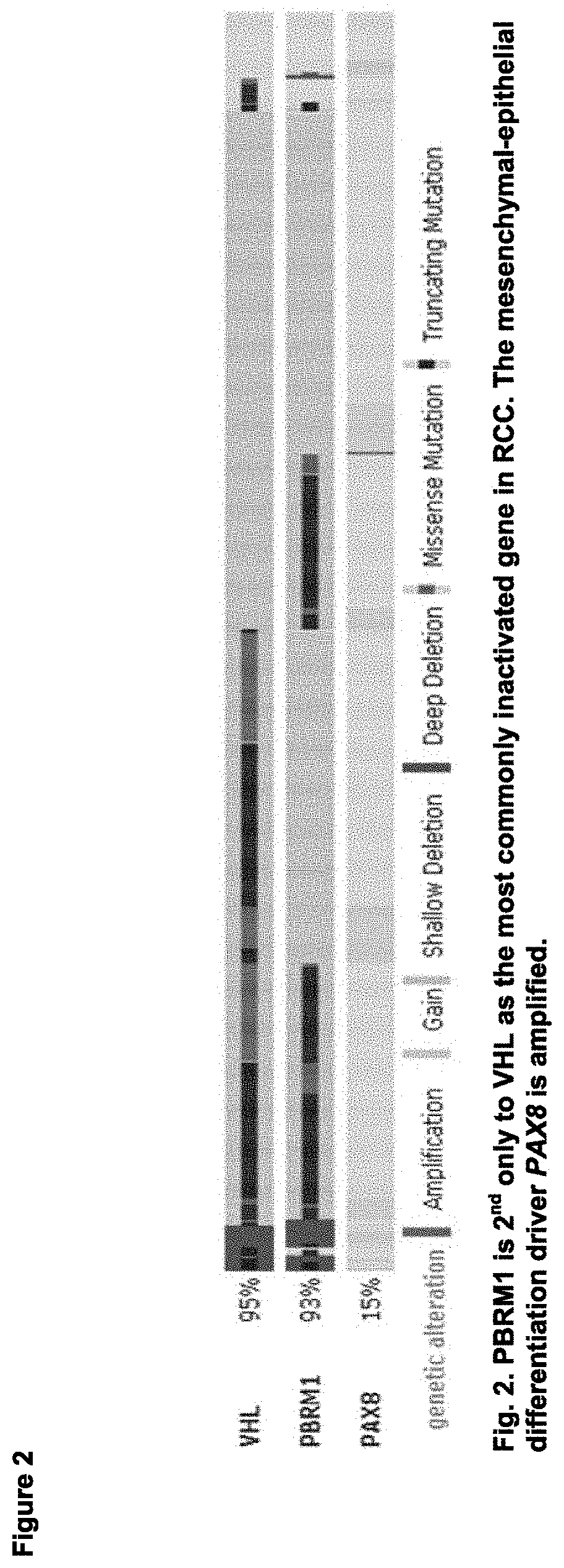 Patent US11779591 Figure 2 – Compositions containing decitabine, 5azacytidine and tetrahydrouridine and uses thereof