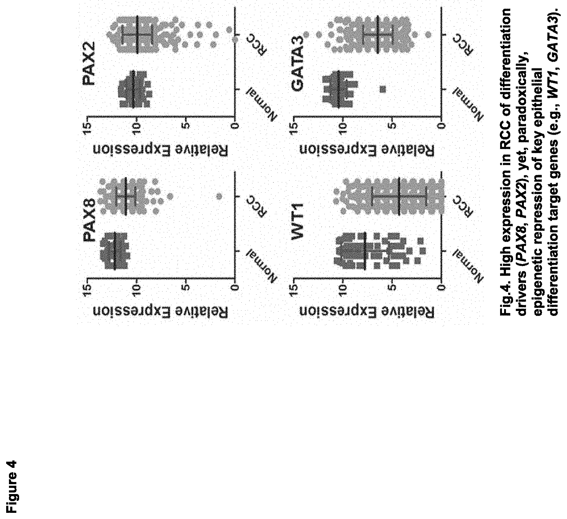 Patent US11779591 Figure 4 – Compositions containing decitabine, 5azacytidine and tetrahydrouridine and uses thereof