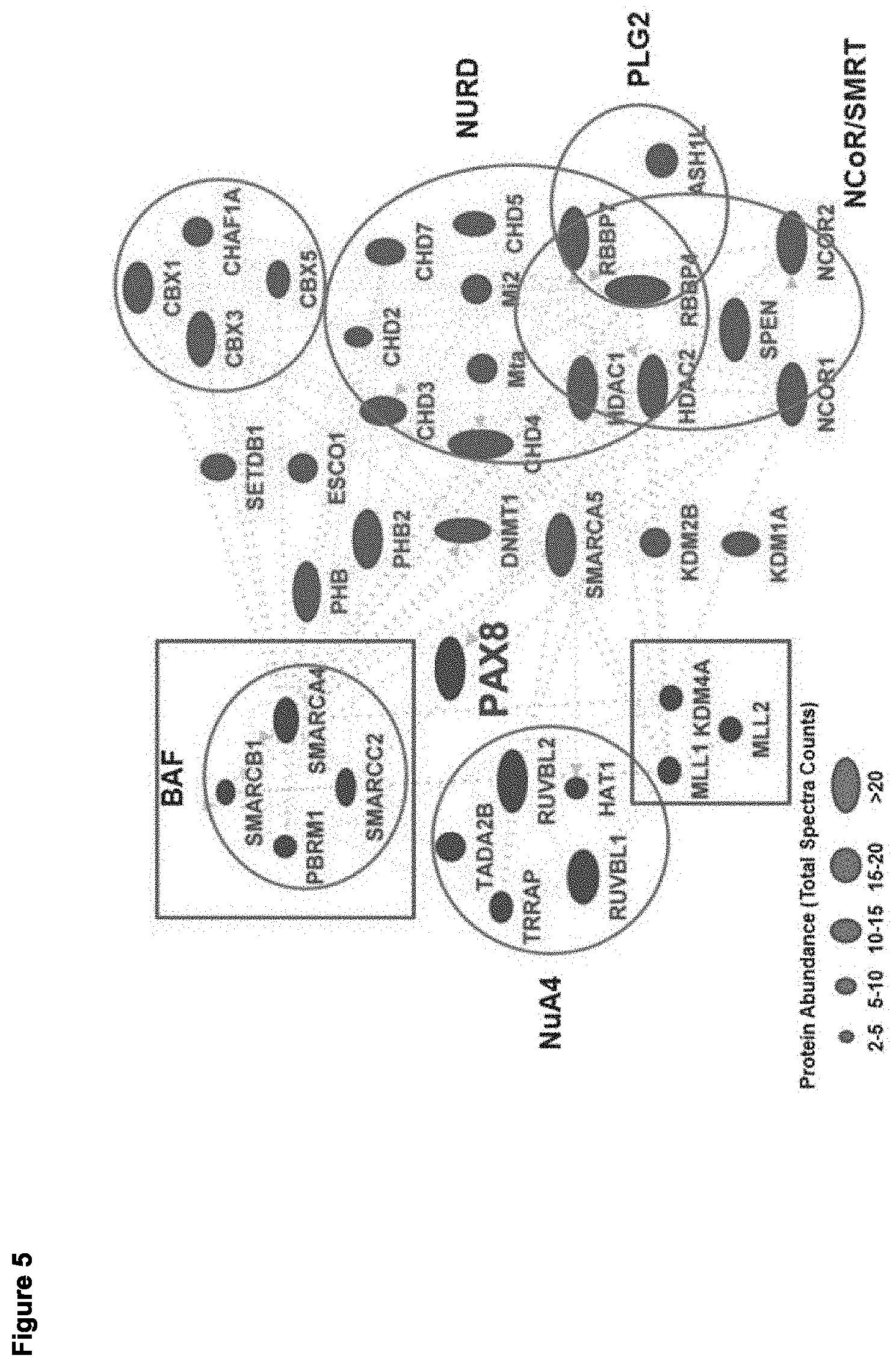 Patent US11779591 Figure 5 – Compositions containing decitabine, 5azacytidine and tetrahydrouridine and uses thereof