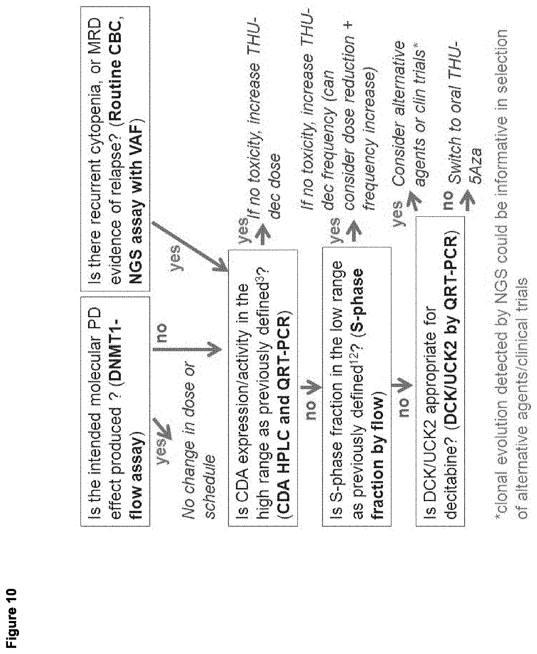 Patent US11779591 Figure 10 – Compositions containing decitabine, 5azacytidine and tetrahydrouridine and uses thereof