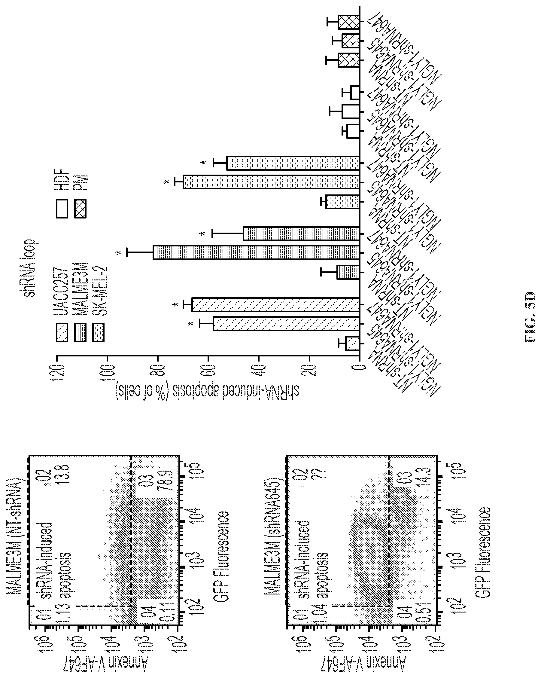 Patent US11779592 Figure 8 – Inhibition of NGLY1 for the treatment of cancer