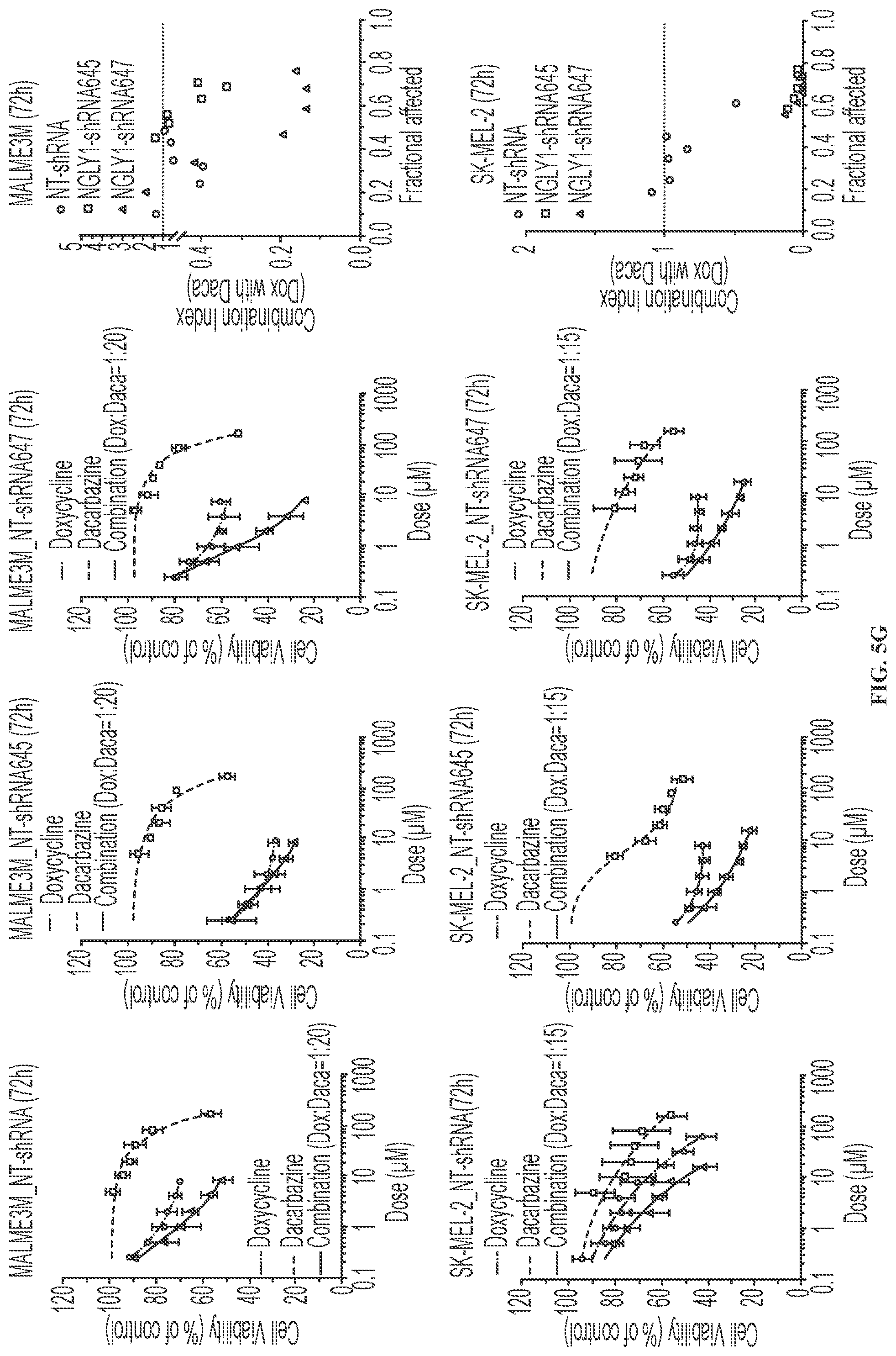 Patent US11779592 Figure 11 – Inhibition of NGLY1 for the treatment of cancer
