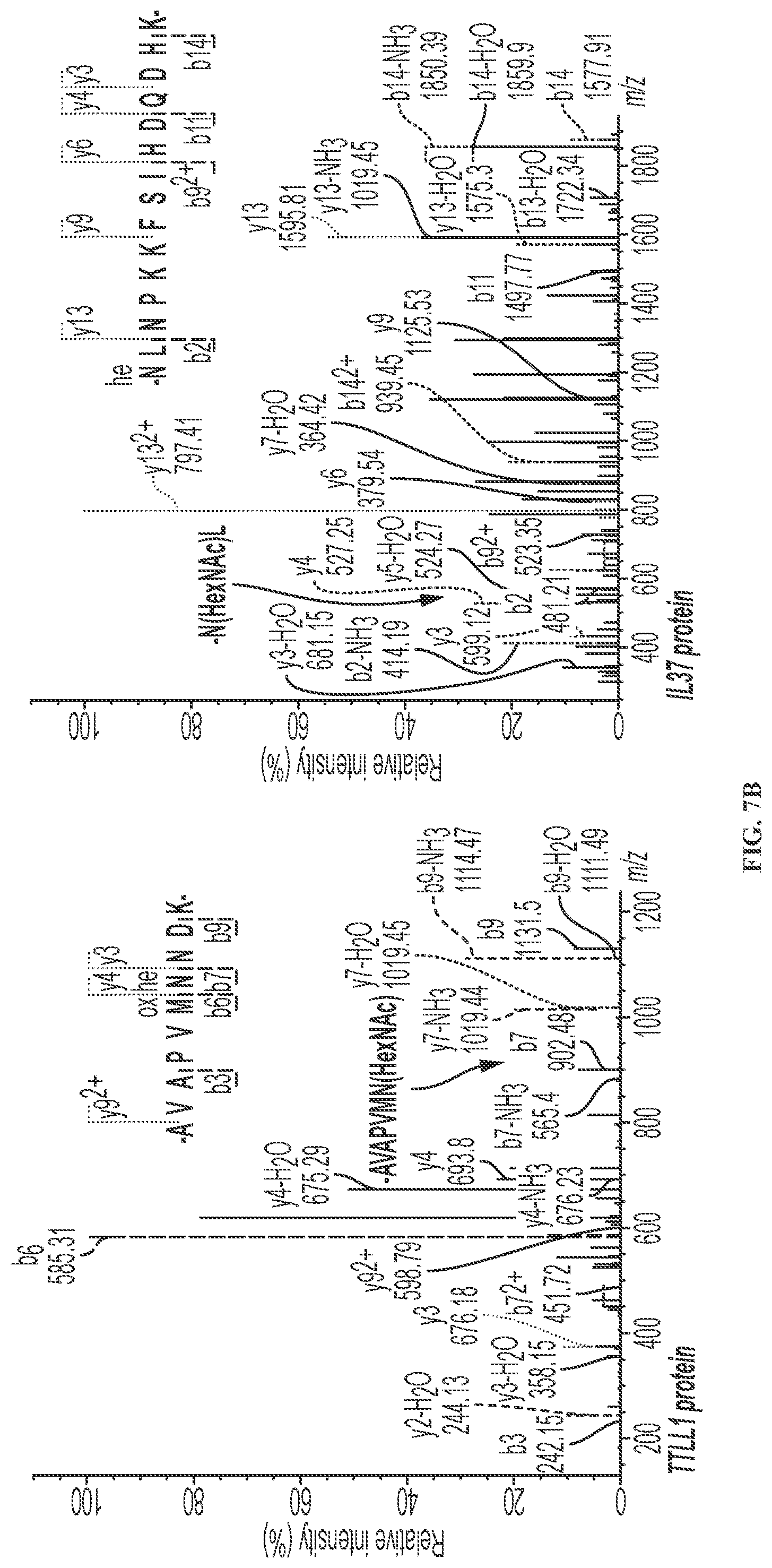 Patent US11779592 Figure 14 – Inhibition of NGLY1 for the treatment of cancer