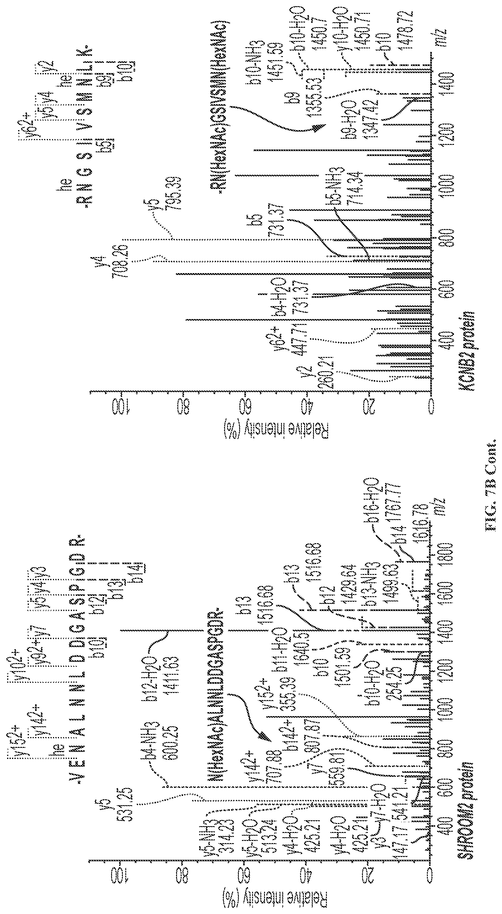 Patent US11779592 Figure 15 – Inhibition of NGLY1 for the treatment of cancer