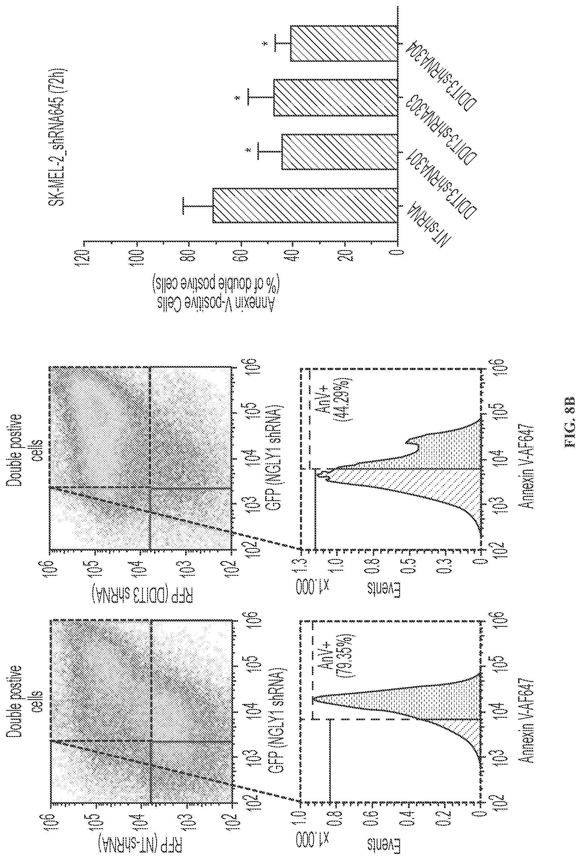 Patent US11779592 Figure 19 – Inhibition of NGLY1 for the treatment of cancer