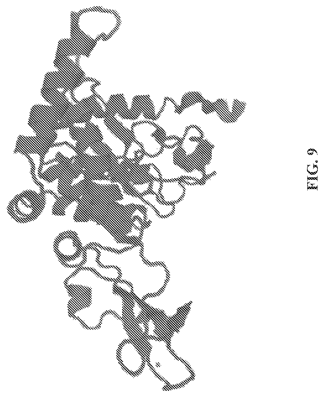 Patent US11779592 Figure 20 – Inhibition of NGLY1 for the treatment of cancer
